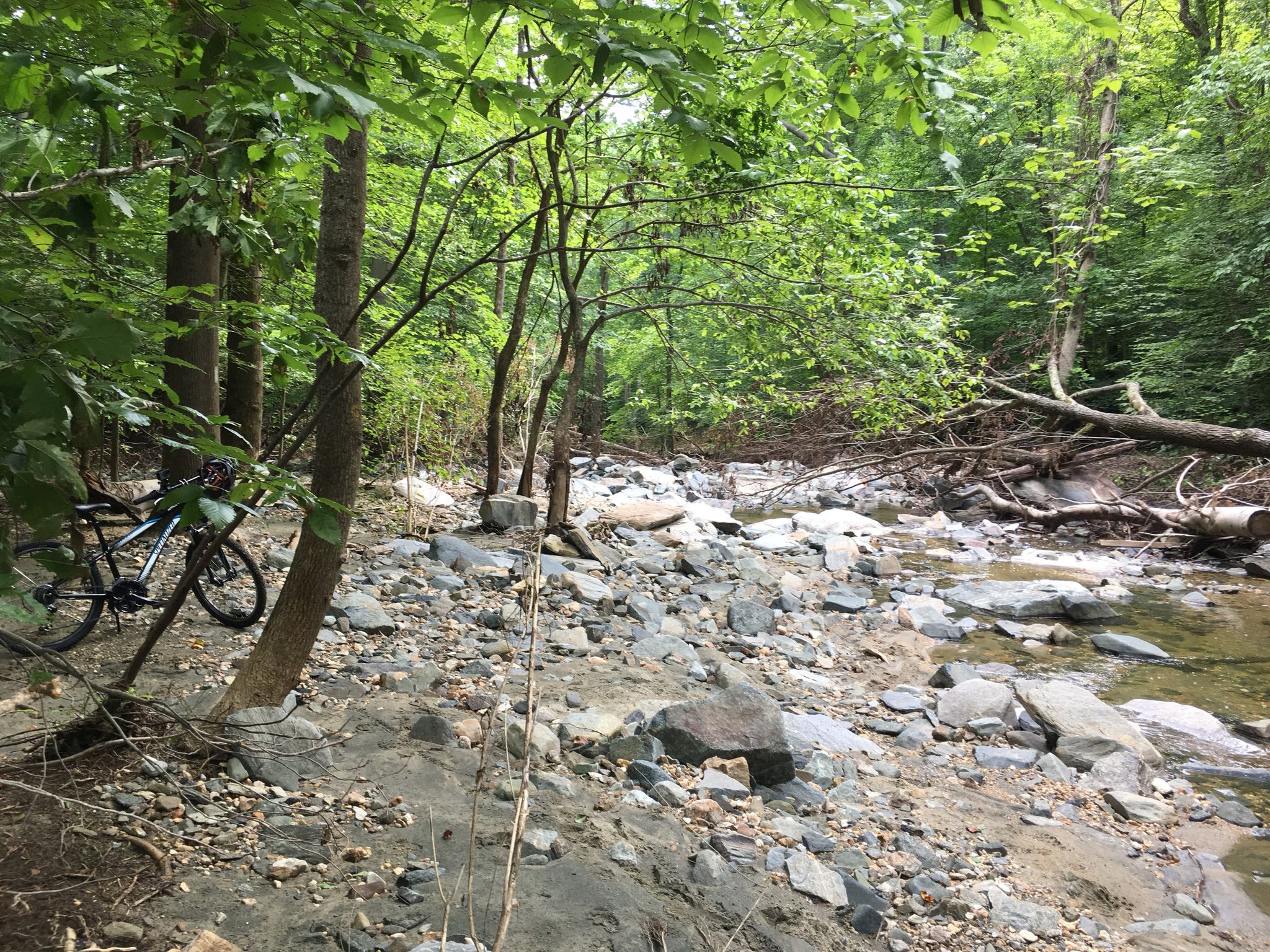 A mountain bike rests beside a rocky stream bed in a green forest. - Sawmill Branch and Buzzards Rock Loop