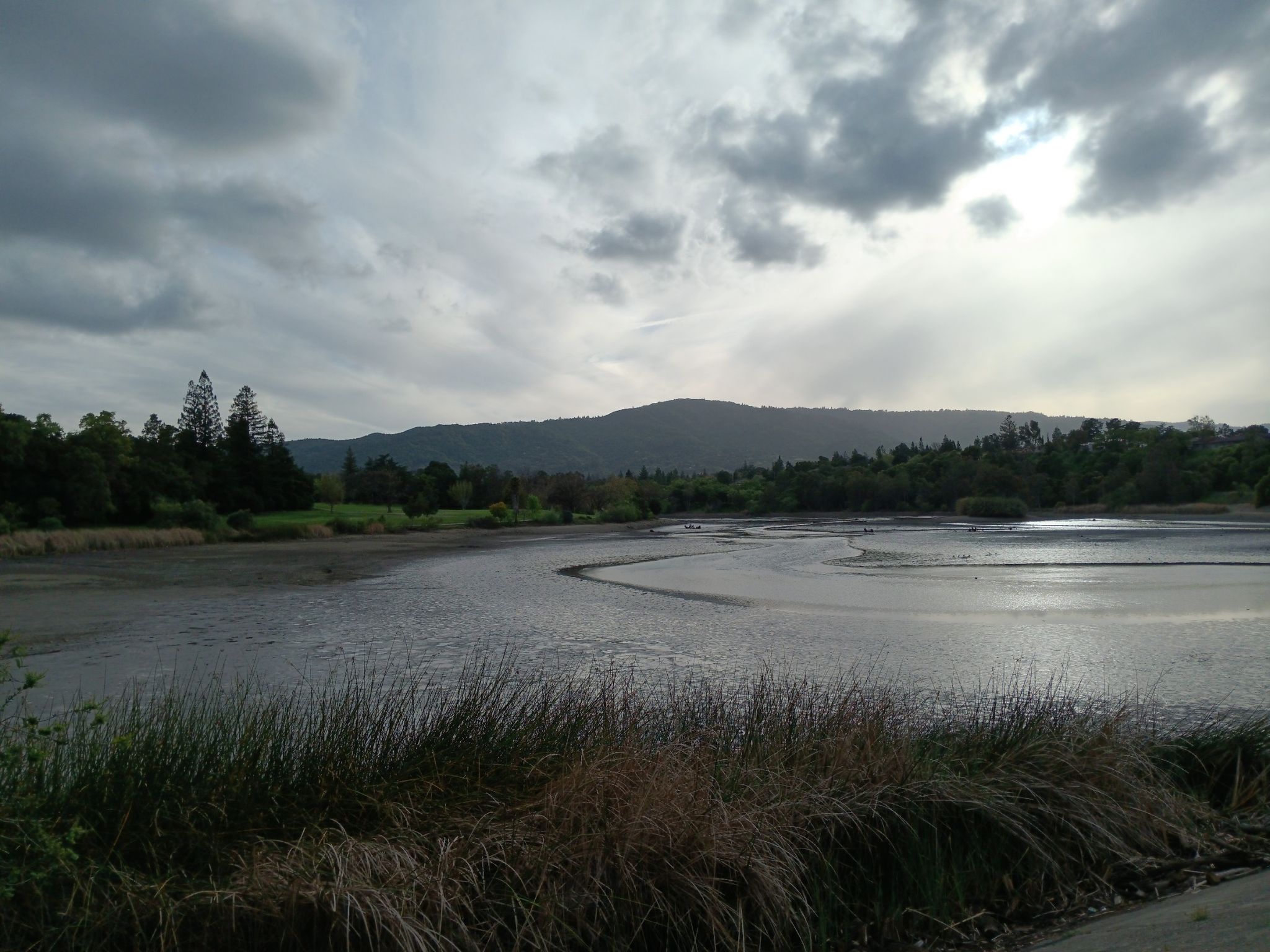 Overcast view of a wide, shallow body of water with distant mountains. - Vasona Lake – Vasona Lake loop from Oak Meadow
