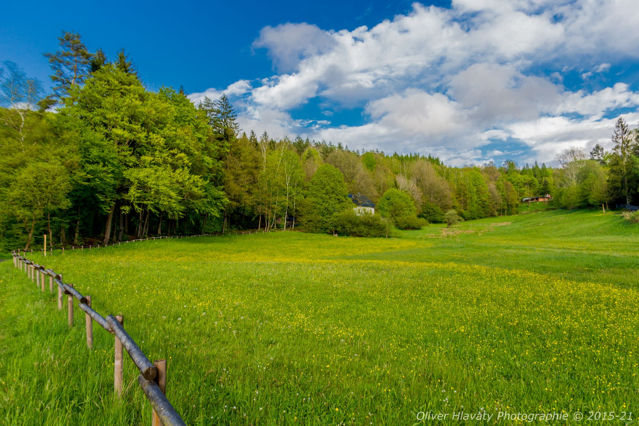 © 2015-21 | Oliver Hlavaty Photographie