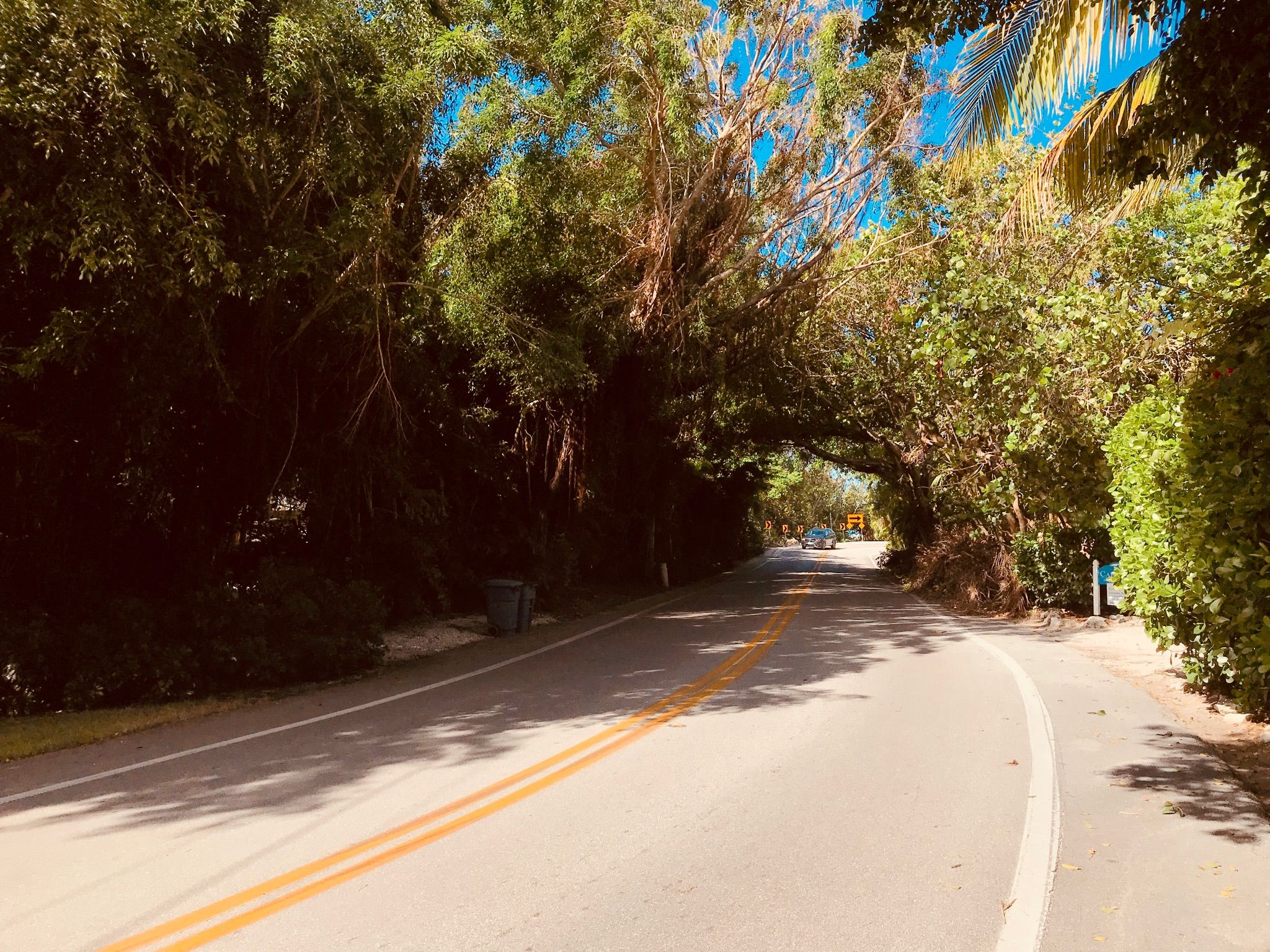 A curved road shaded by dense, overhanging green trees on a sunny day. - Blind Pass Bridge loop from Captiva Island