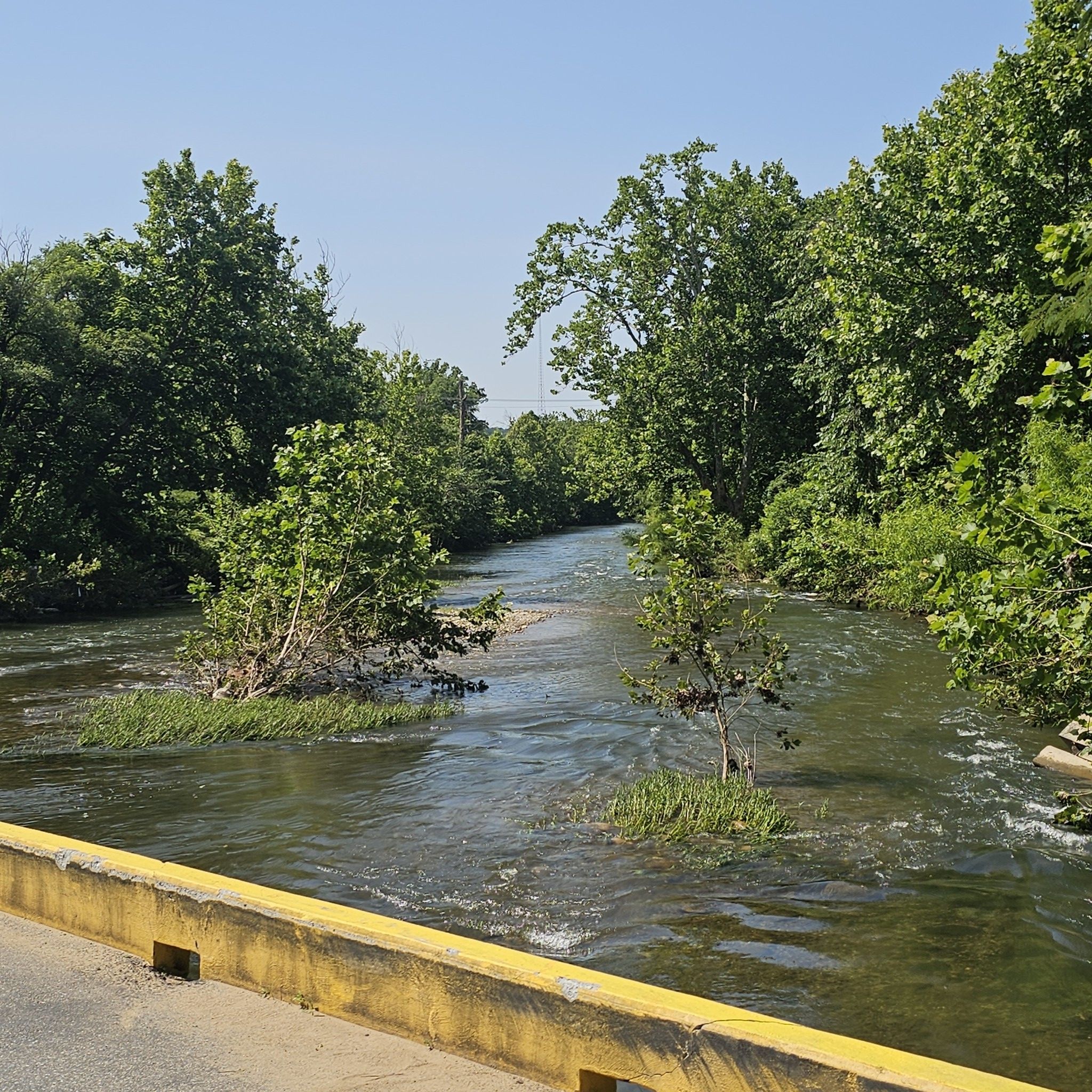 A flowing river with green trees and vegetation under a bright sky. - Roanoke River Greenway