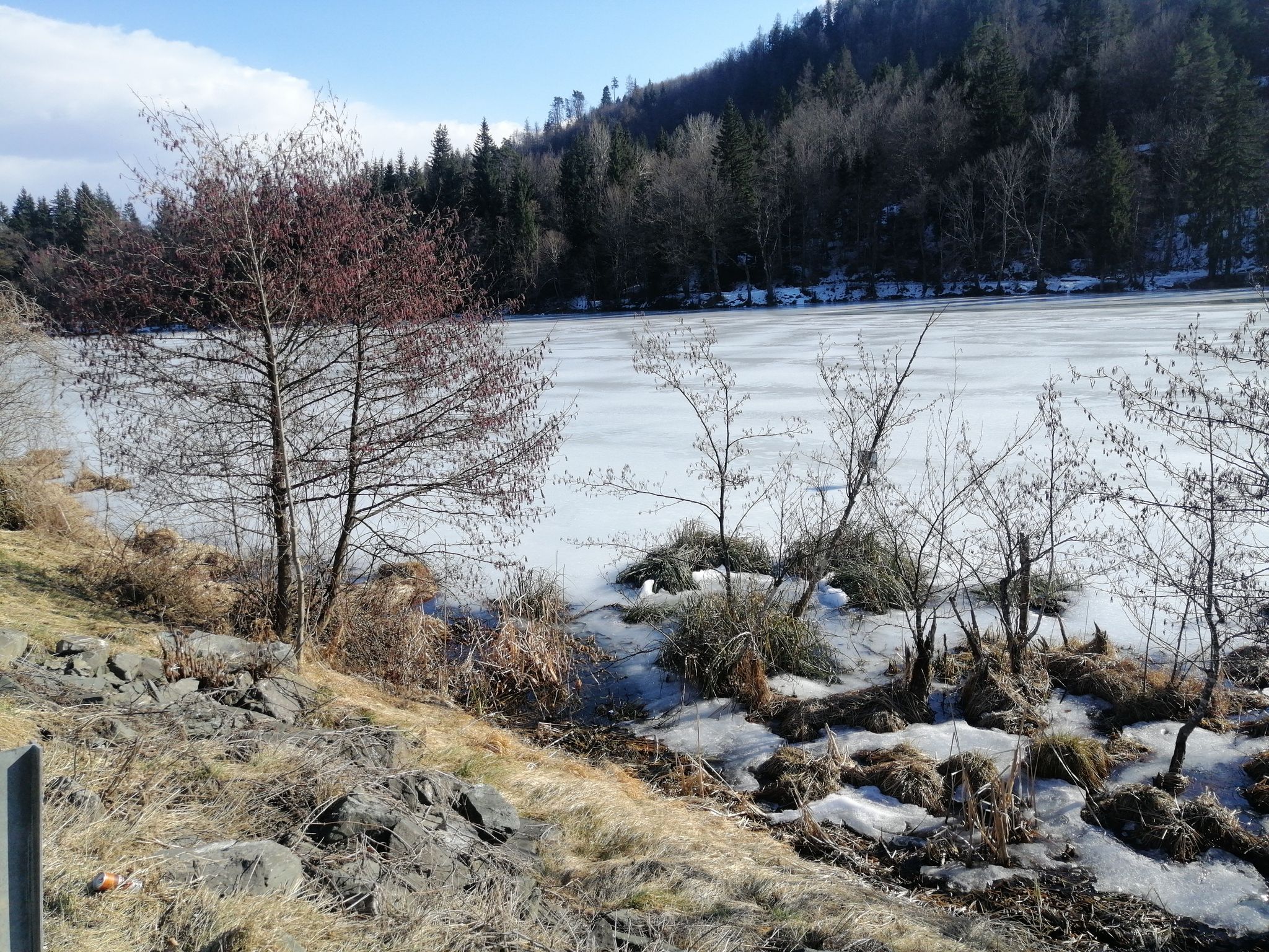 Treimischer Teich