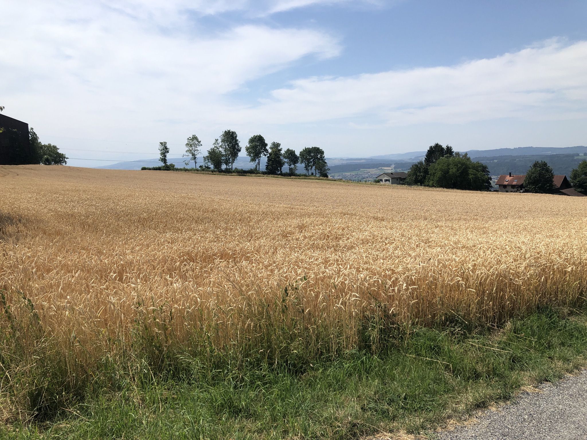 Unbefestigte Strasse