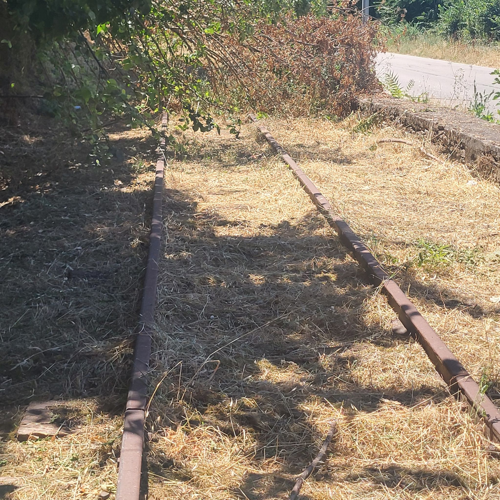 Será que vai ter mais ecopista