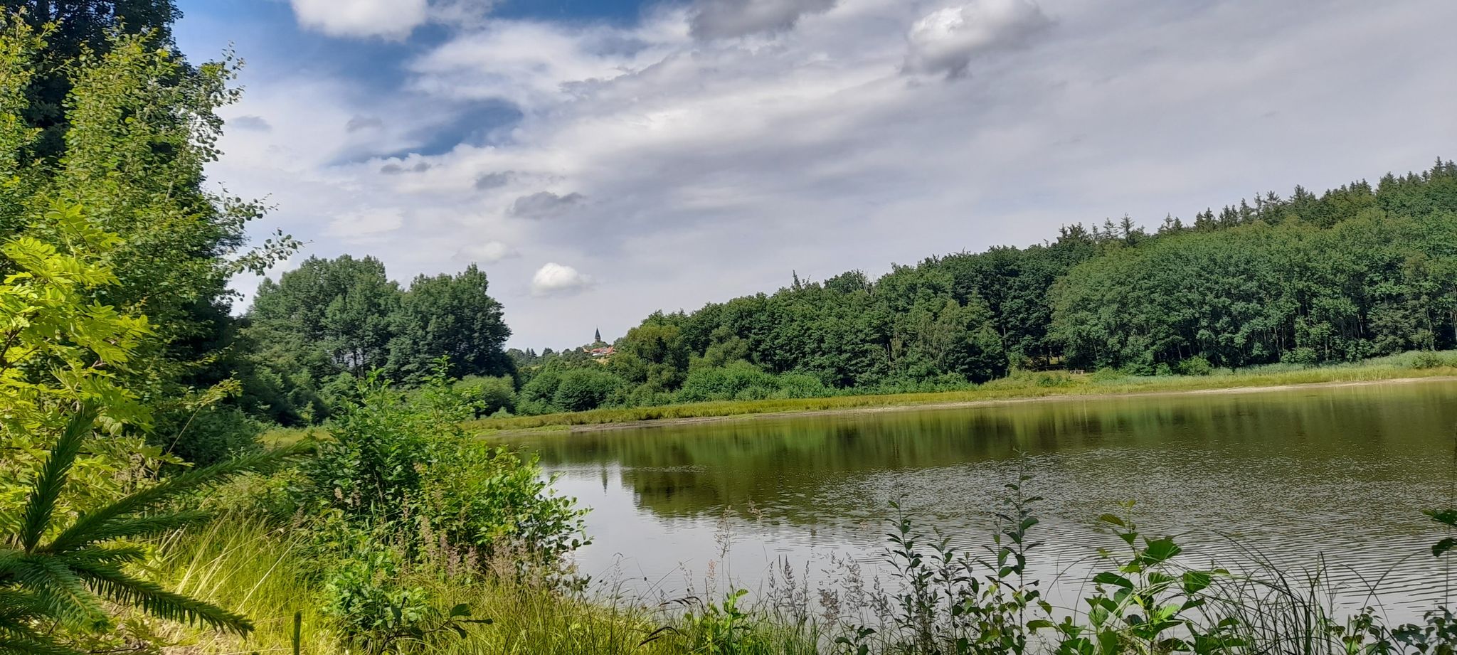 Blick nach Friedrichsbrunn