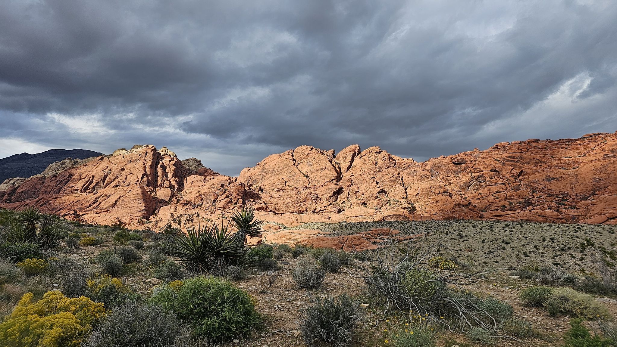 Red rock mountains under dramatic cloudy sky, desert plants in foreground. - Red Rock Scenic Loop from Blue Diamond