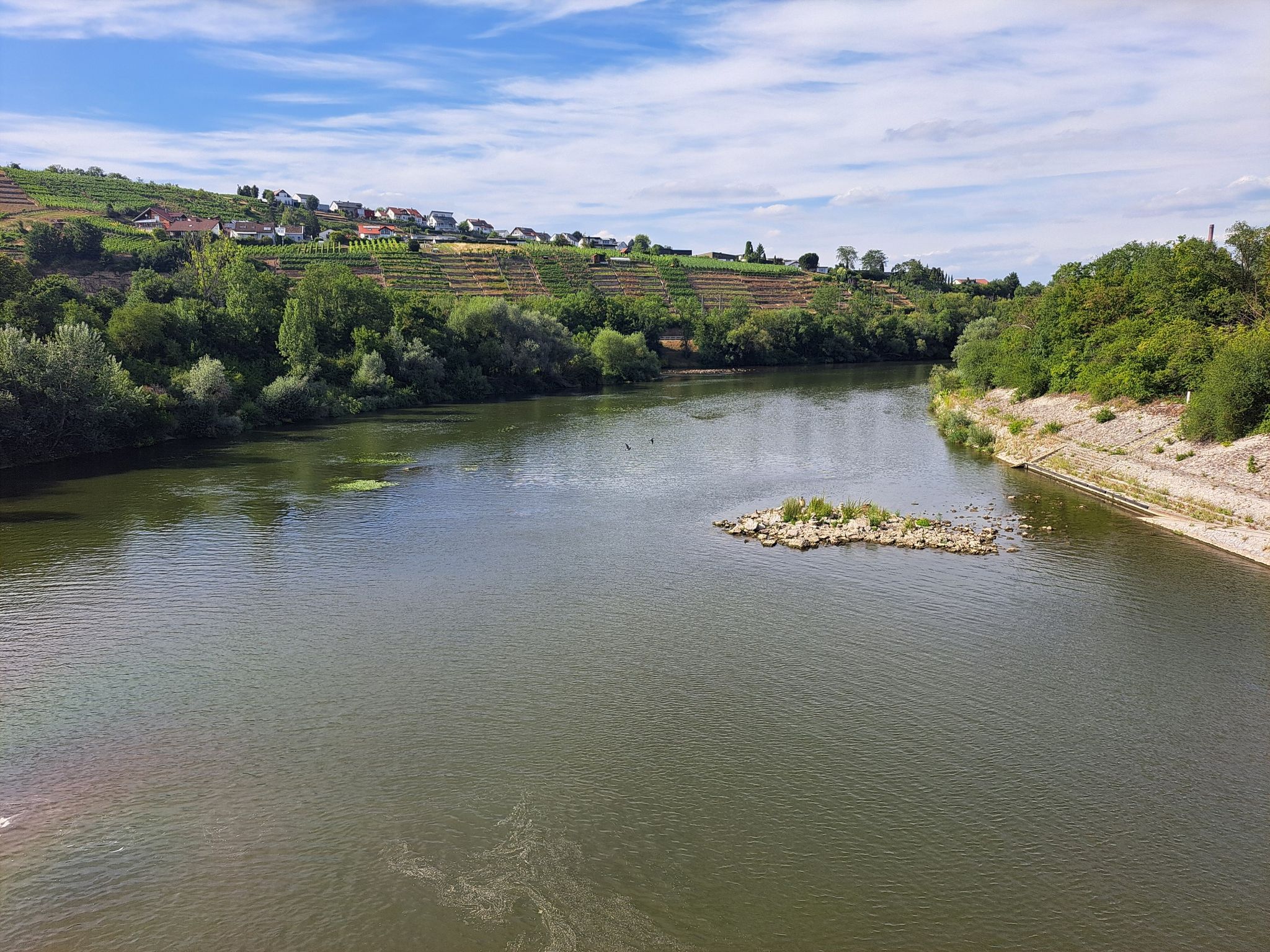 links fließt die Enz in den Neckar