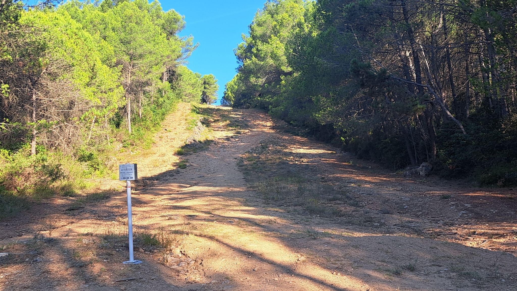 richtige Weg?