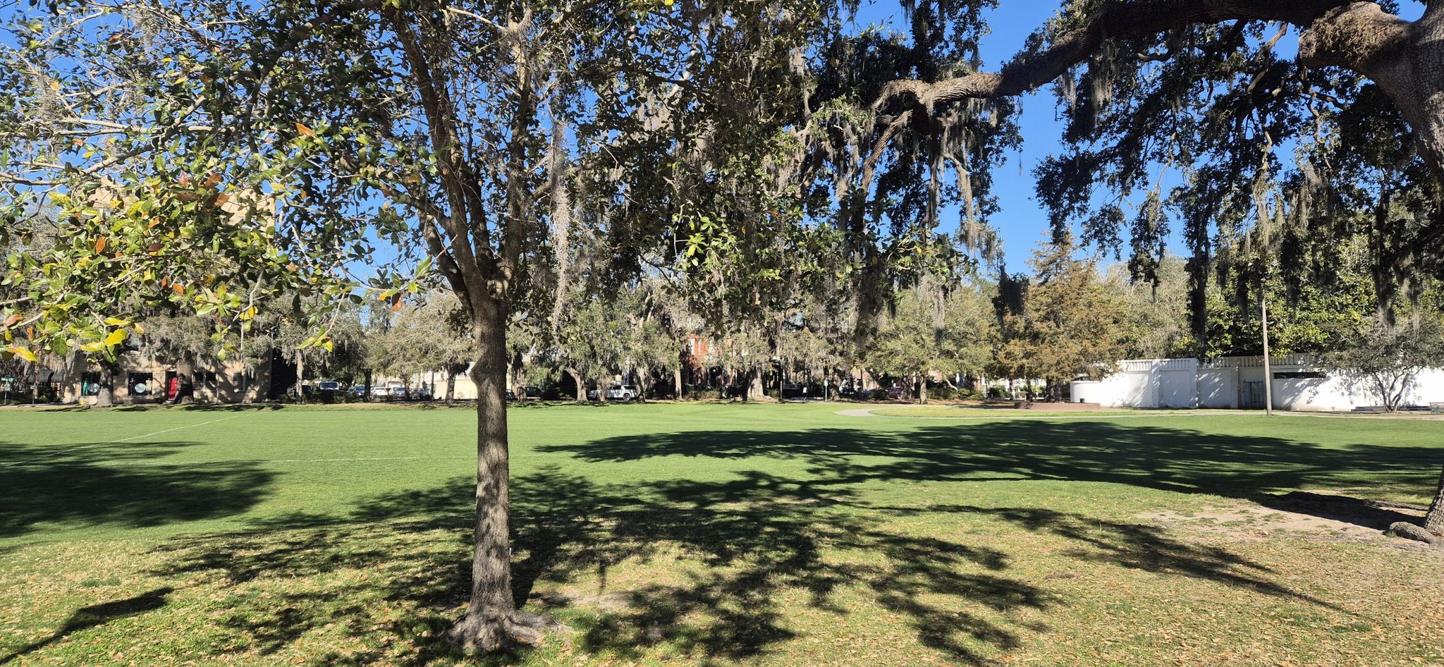 Bright sunny day over a green lawn with trees casting long shadows. - Daffin & Forsyth Park loop