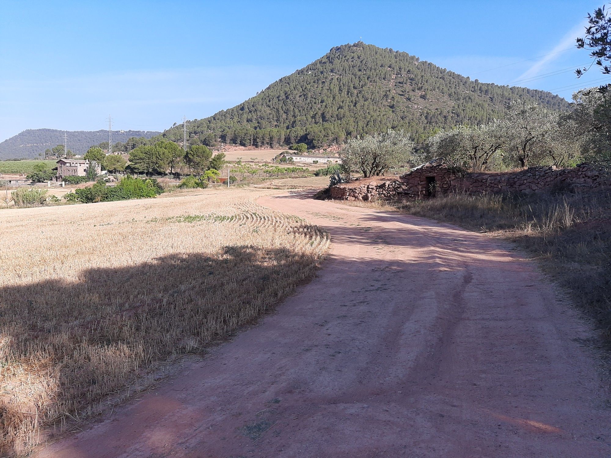 Cabana de volta