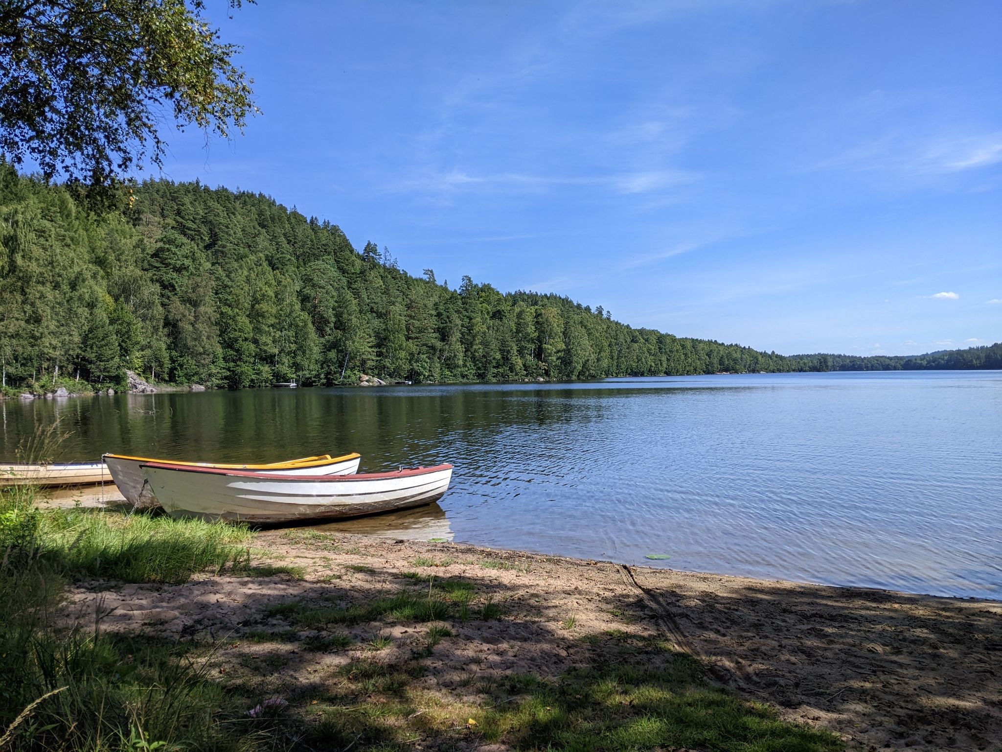 Am kleinen See `Lilla Hålsjön`