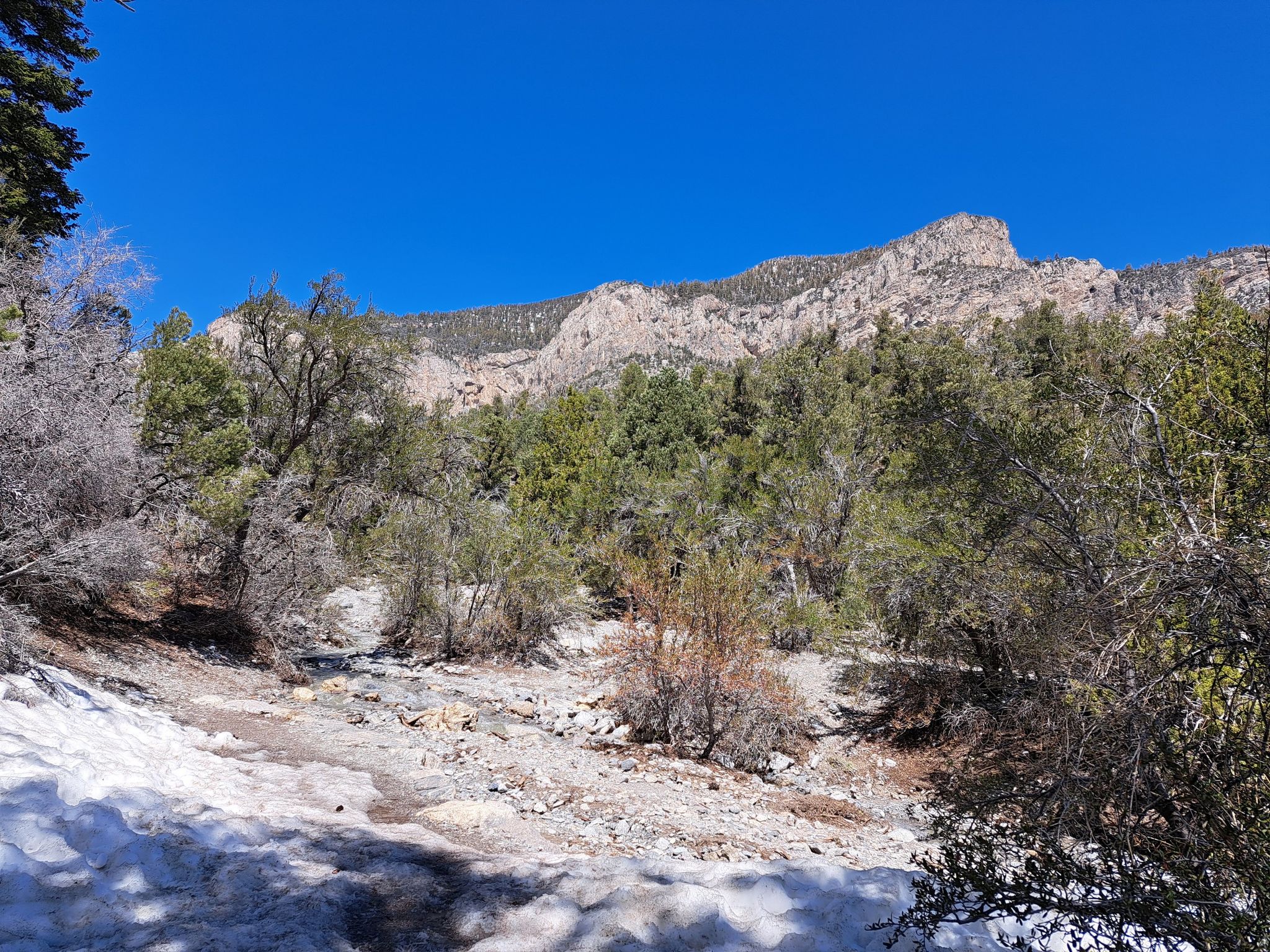 Snow patches on rocky ground with sparse trees and a distant mountain. - Eagle's Nest Loop Trail