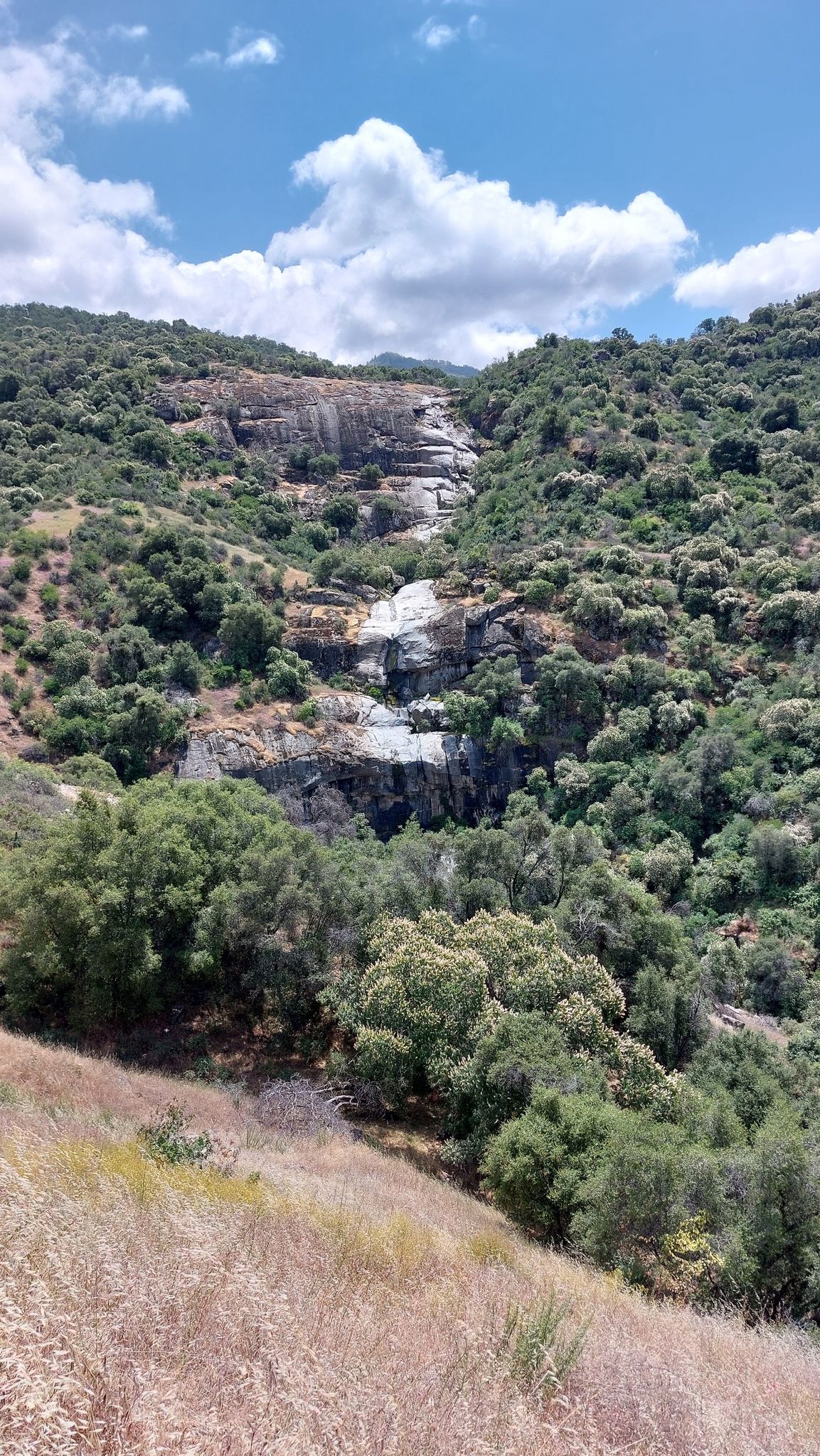 Waterfall cascading down a rocky, green hillside under a partly cloudy sky. - Skyline Loop and Salt Creek Falls Trail