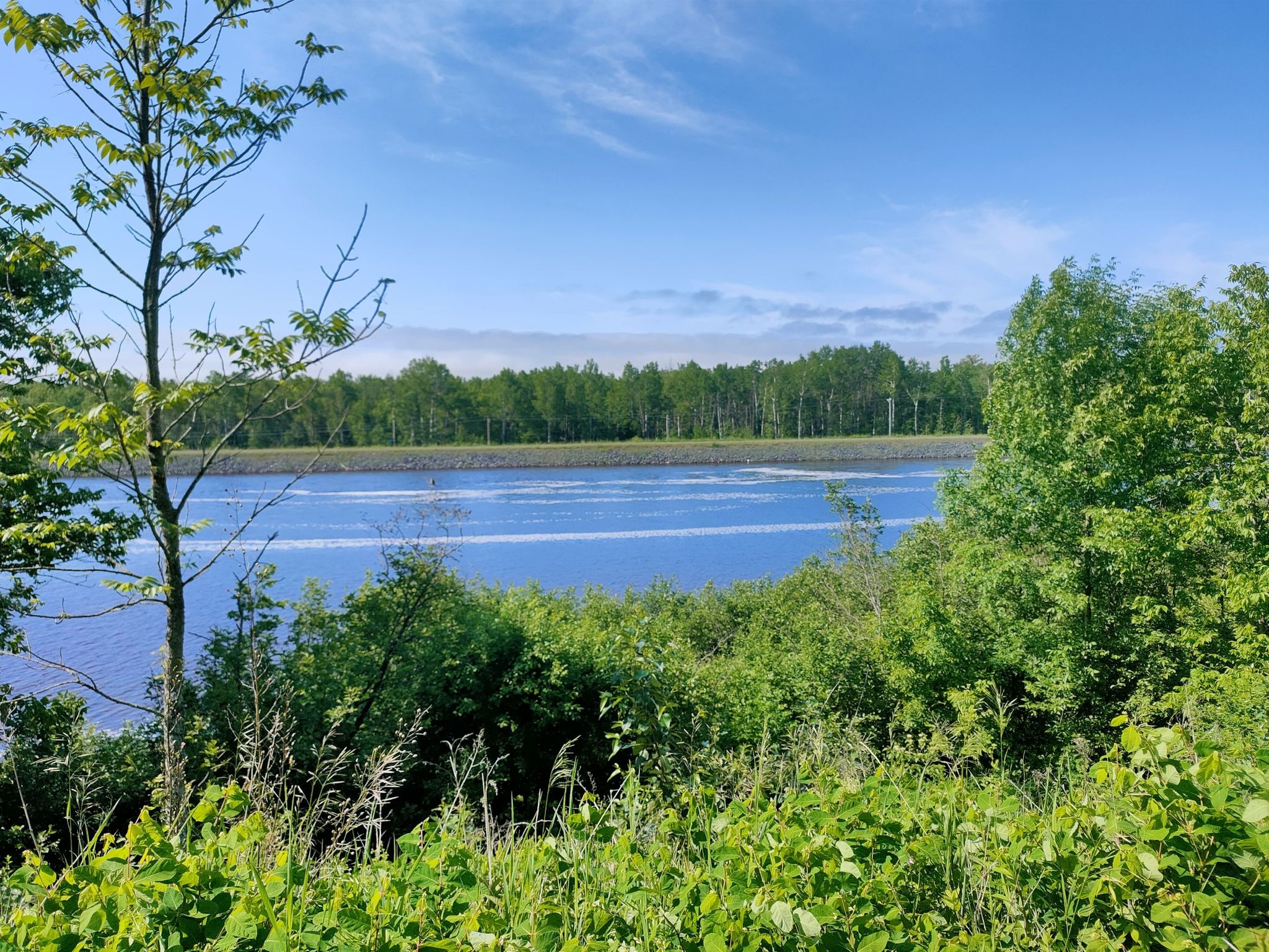 Bright blue lake with distant trees under a clear sky. - Superior Hiking Trail