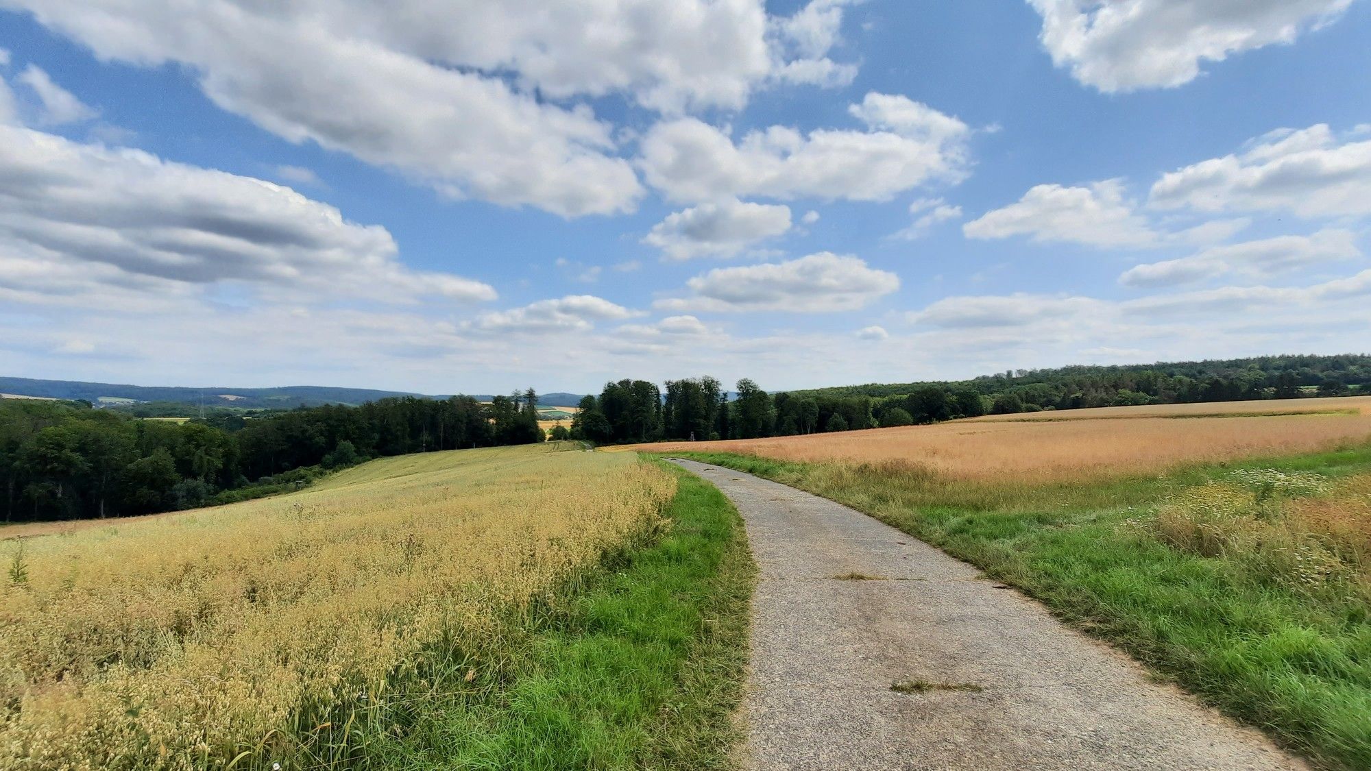 Zwischen Ernsthausen und Weinbach