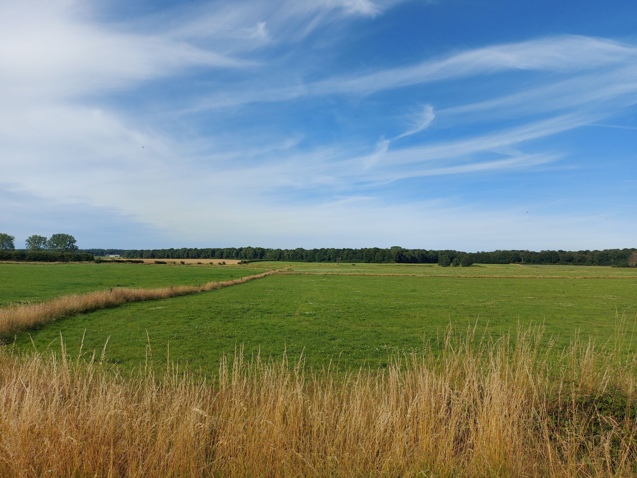 fields