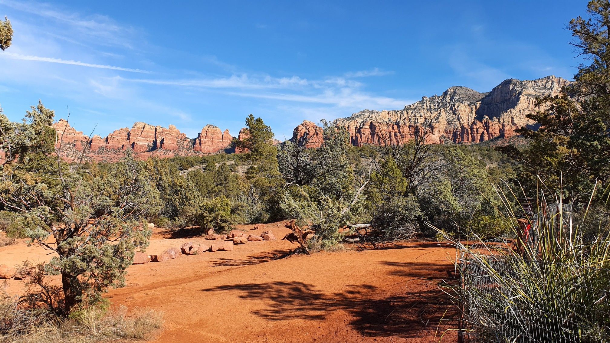 Red rock formations and green shrubs under a clear blue sky. - Hogs – MTB Trails in Sedona