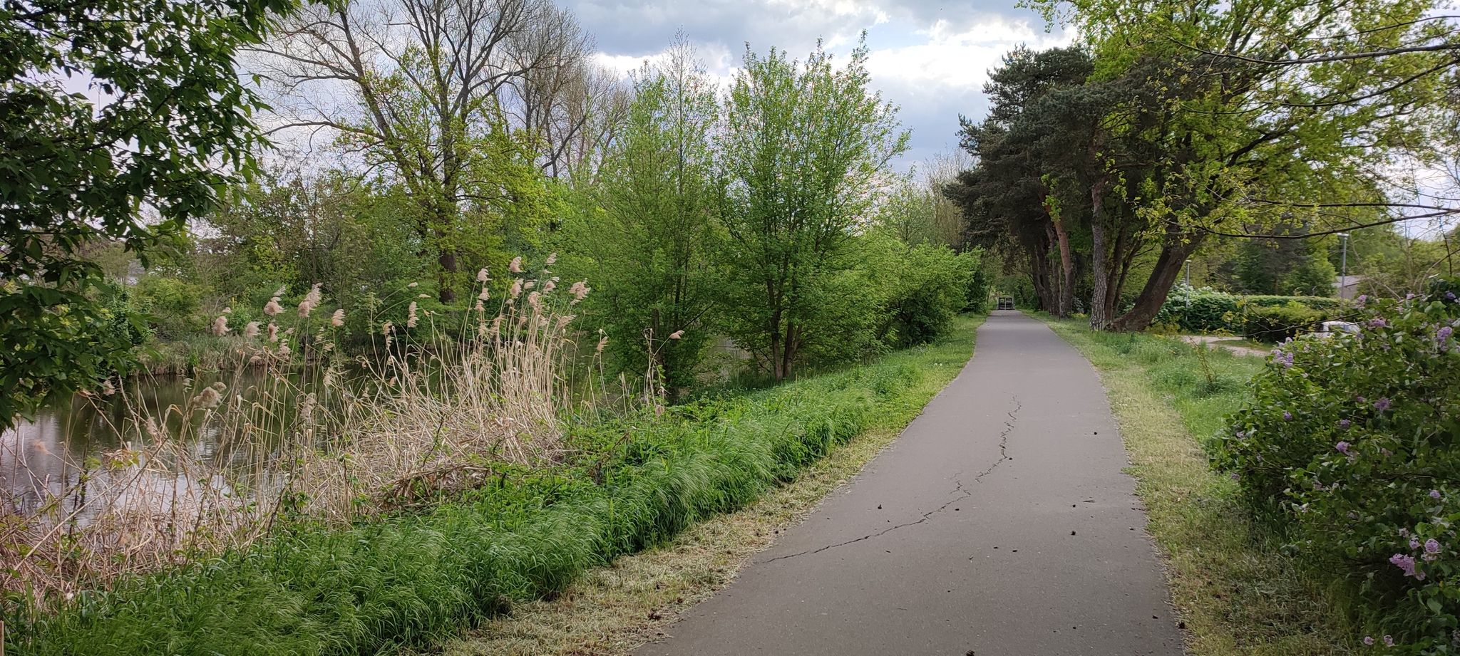 Radweg am Oranienburger Kanal