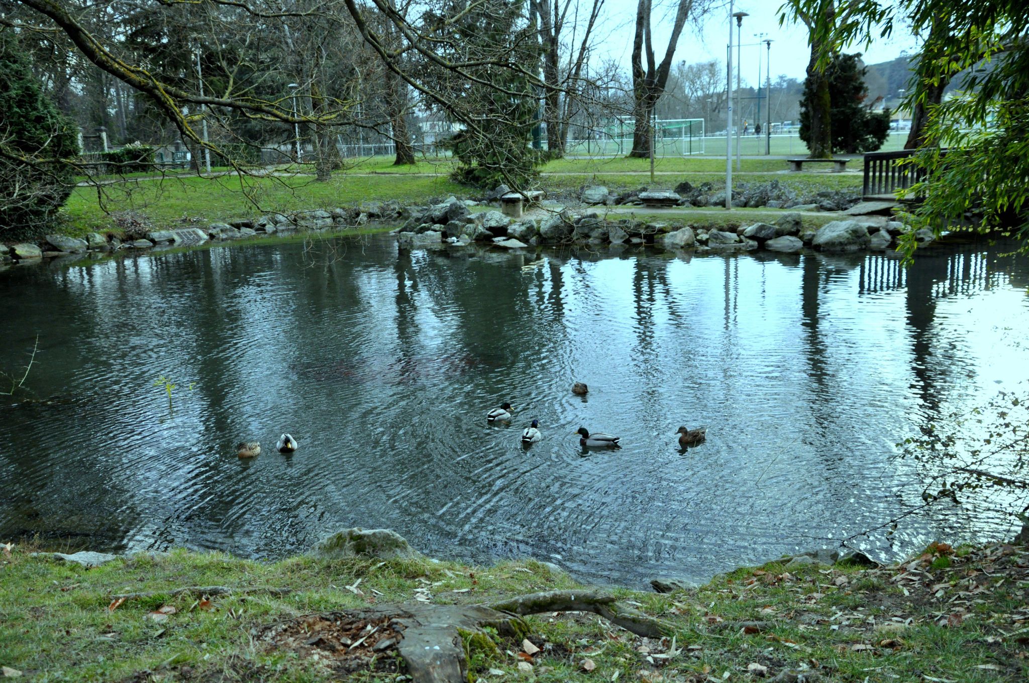 Parc du complexe sportif de Beauregard
