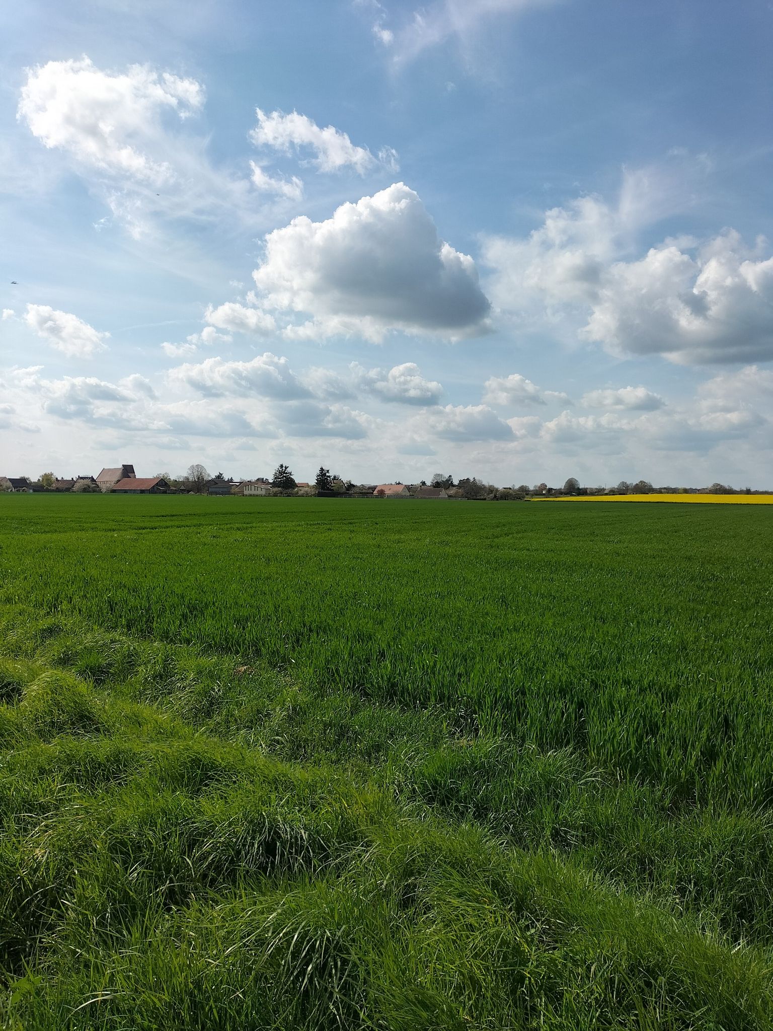 champs à perte de vue