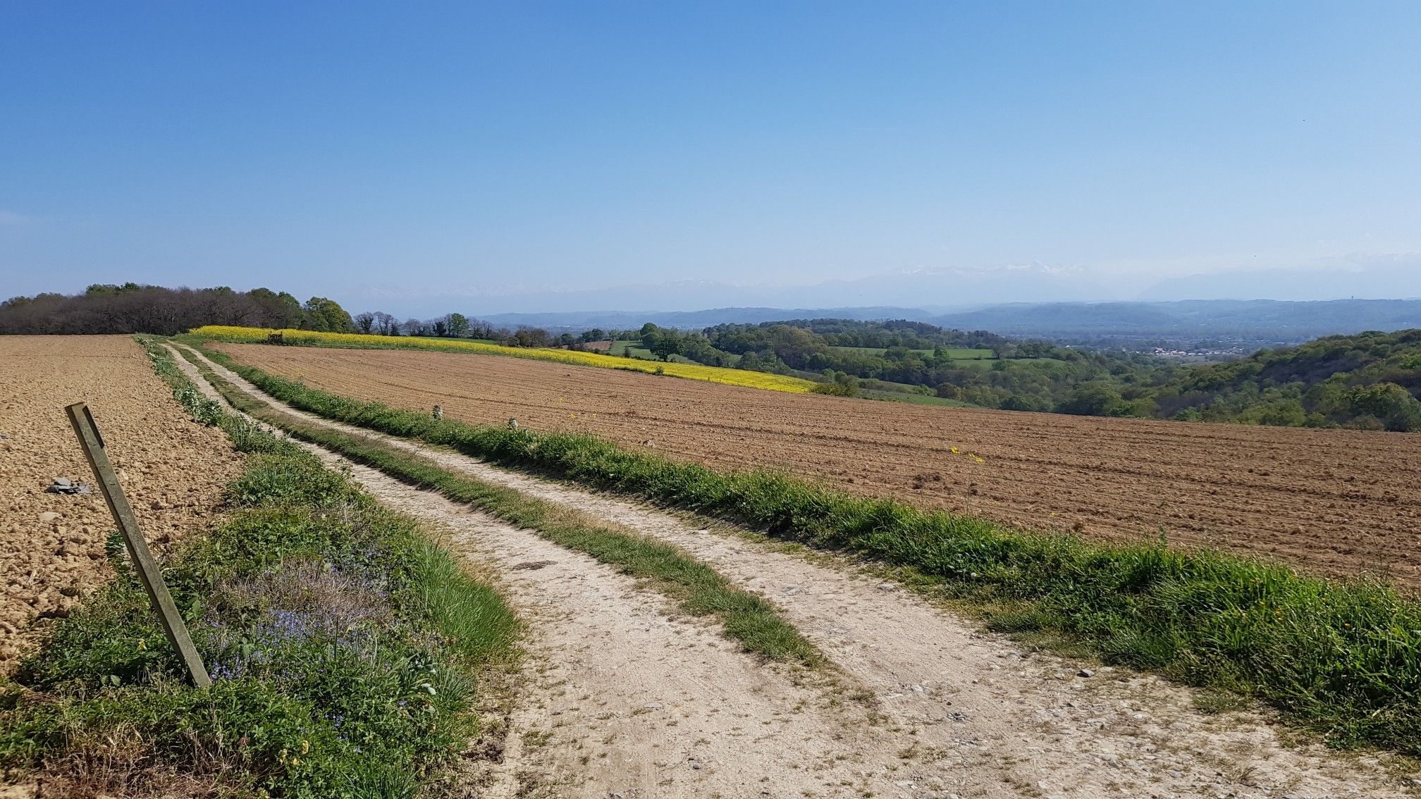Les Pyrénées un peu dans la brume.
