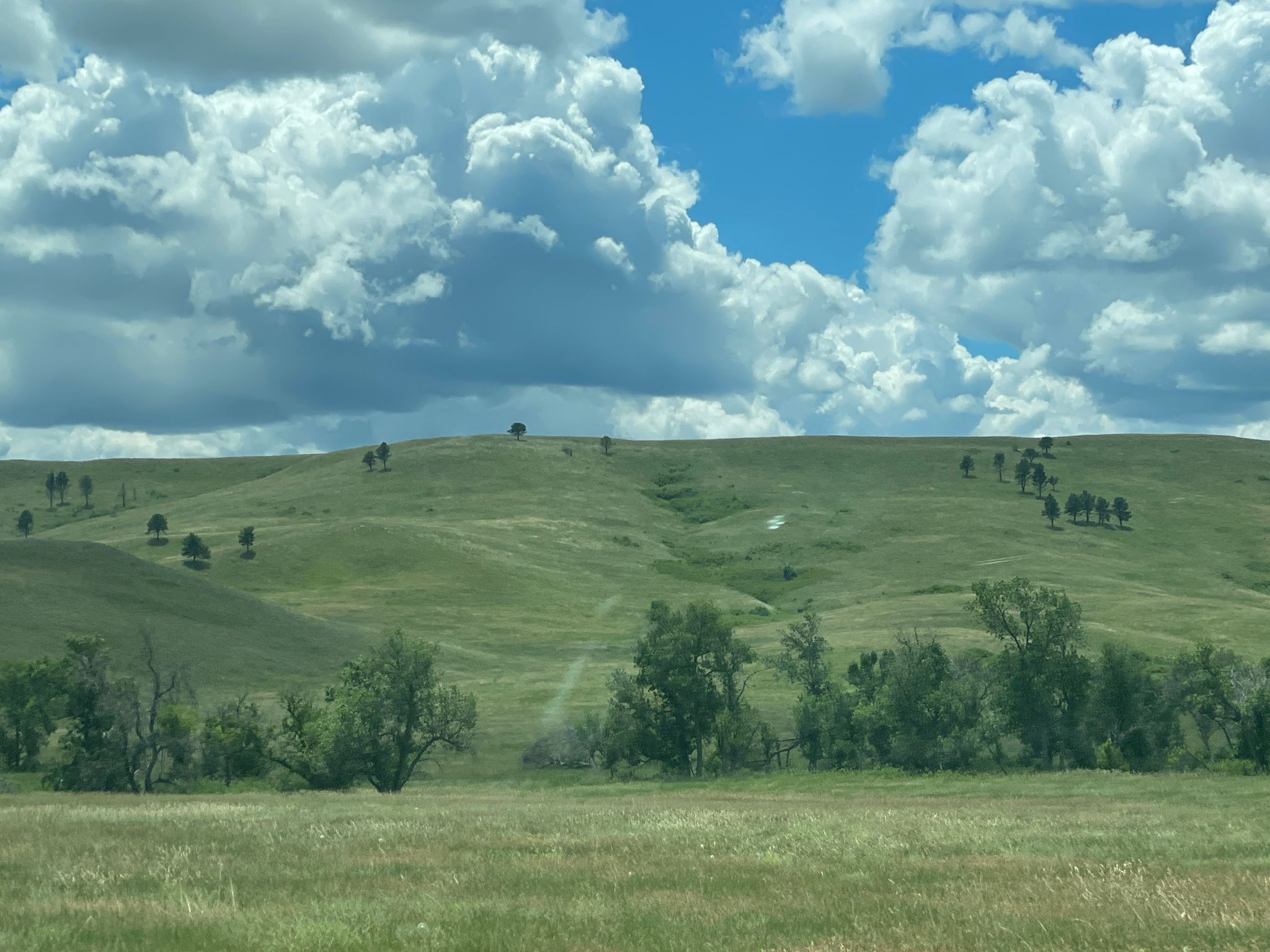 Vast rolling green hills with scattered trees under a dramatic cloudy sky. - Custer State Park Wildlife Scenic Byway