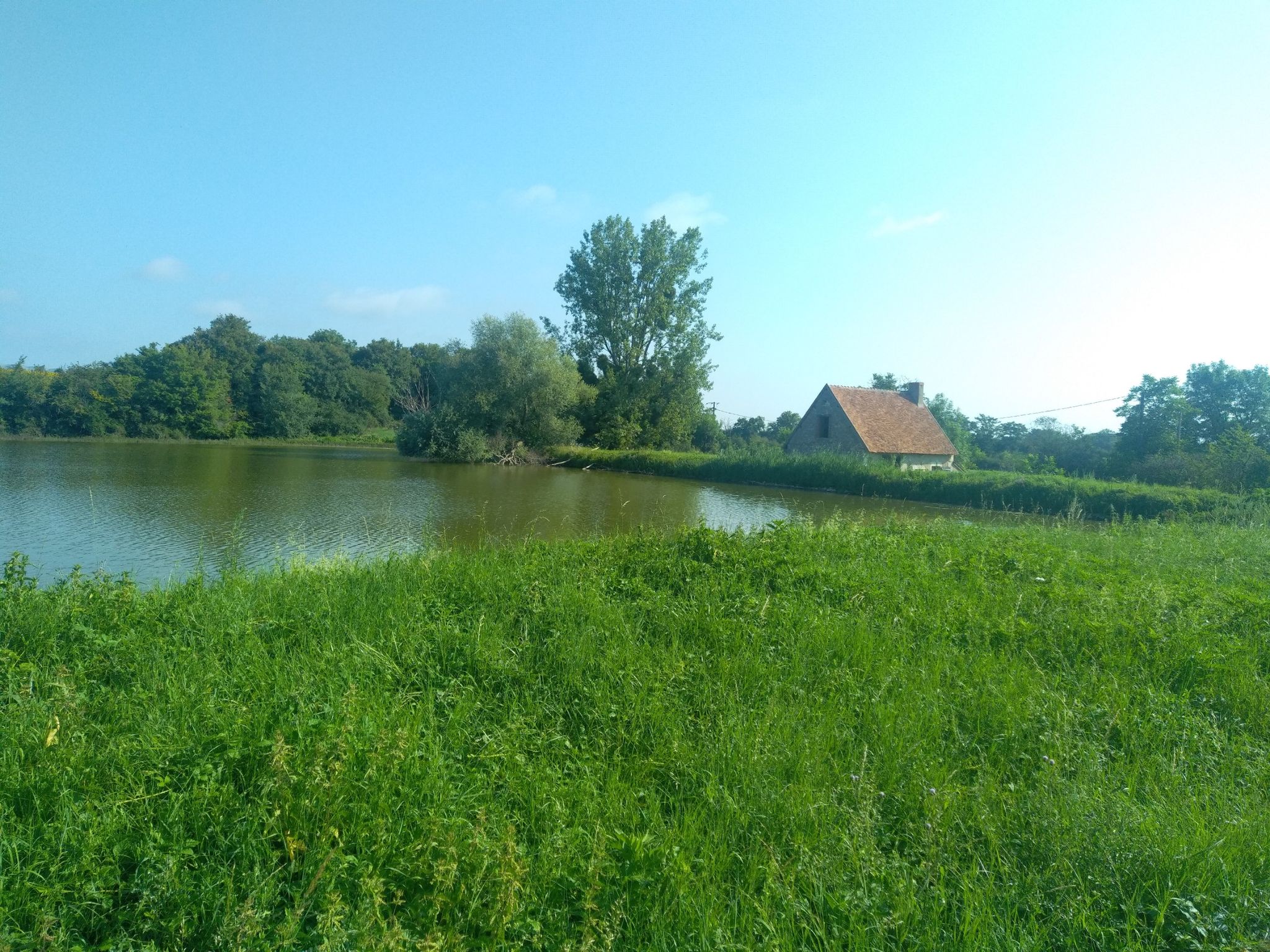 petit etang