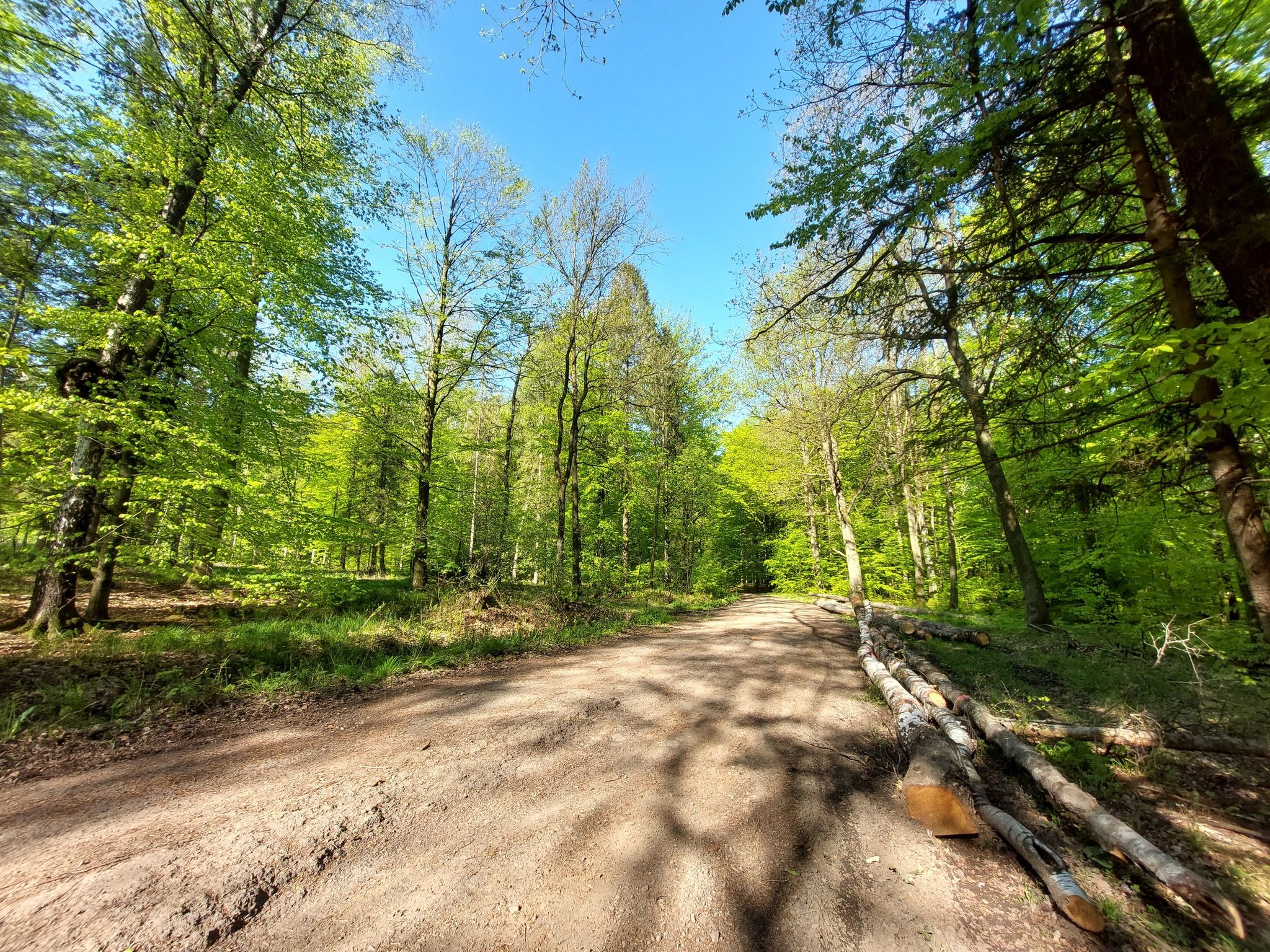 Fragment trasy GreenWays z Krakowa do Wiednia; okoliice (o)Górek Wielkich
