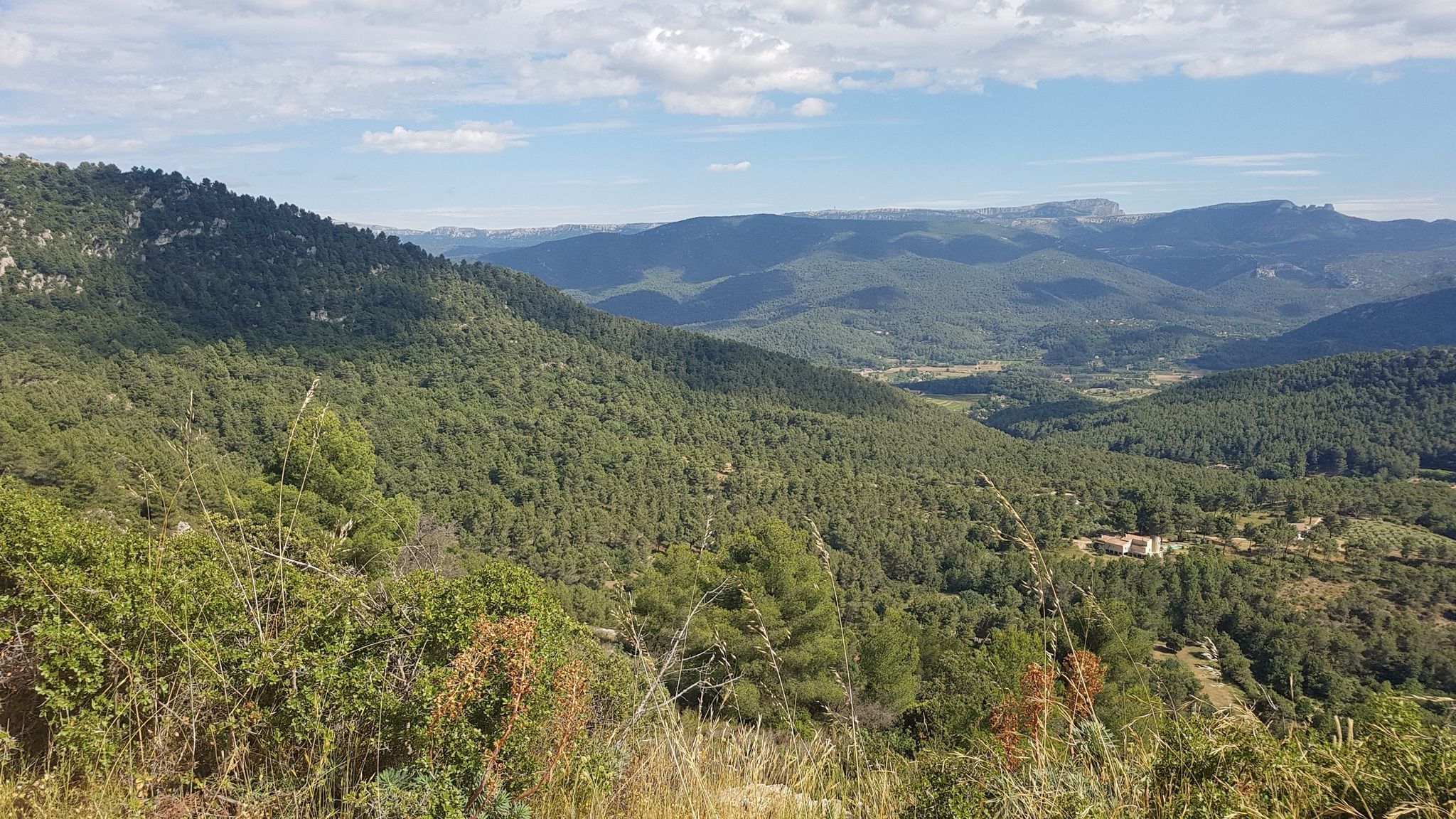 ste baume