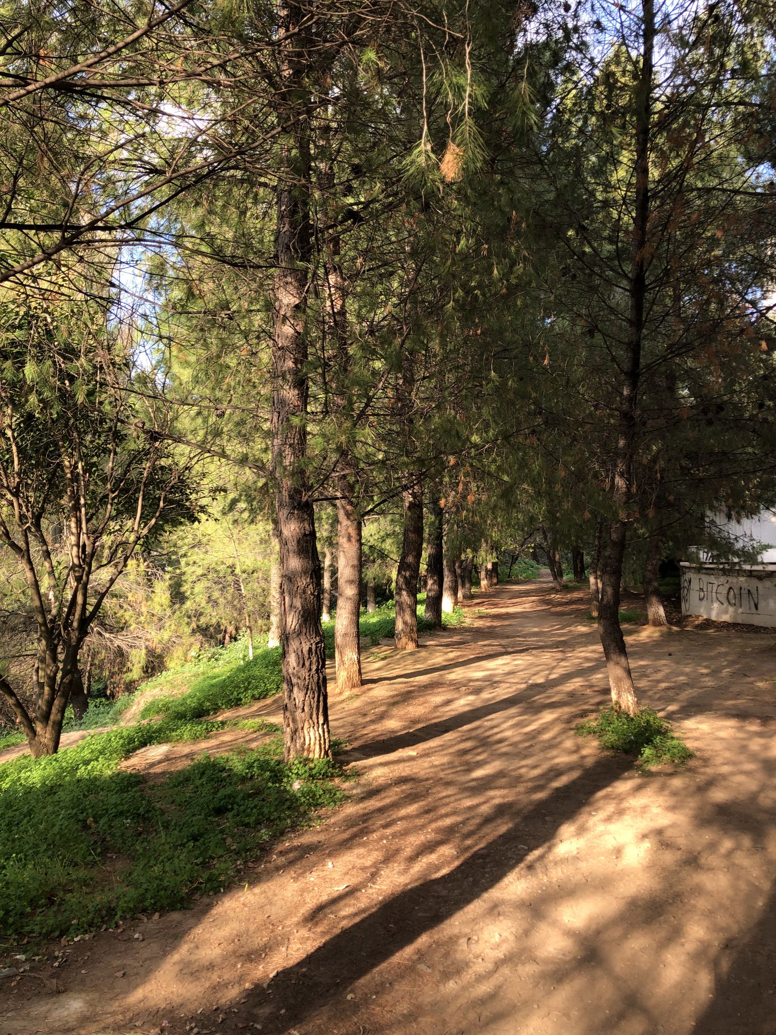 Χαλάνδρι | ρεματιά Πολυδρόσου (Χαλανδρίου - Πεντέλης)