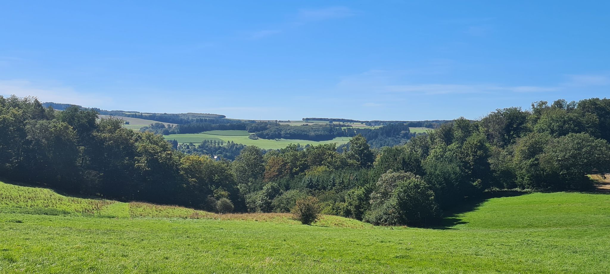 Blick auf Peterswald