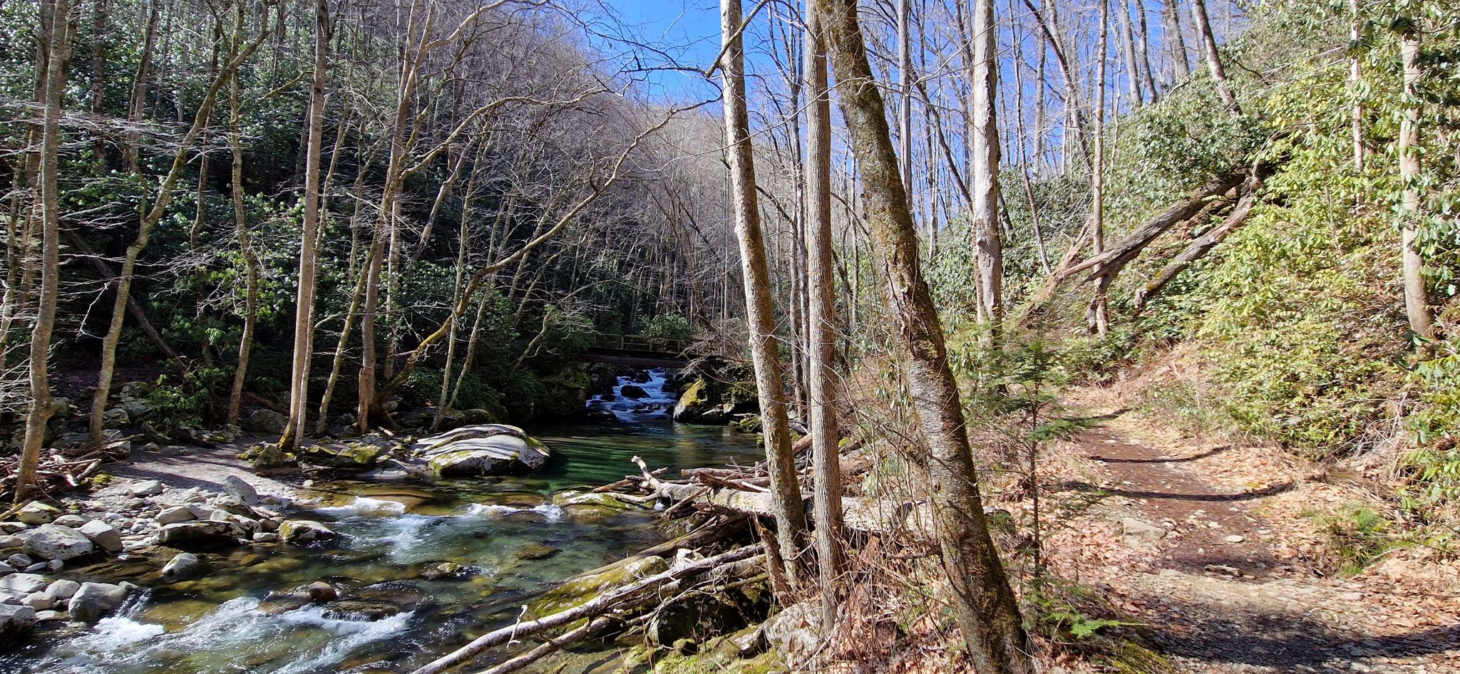 A clear river flows through a sunny forest with a dirt path. - Big Creek and Mount Sterling Loop