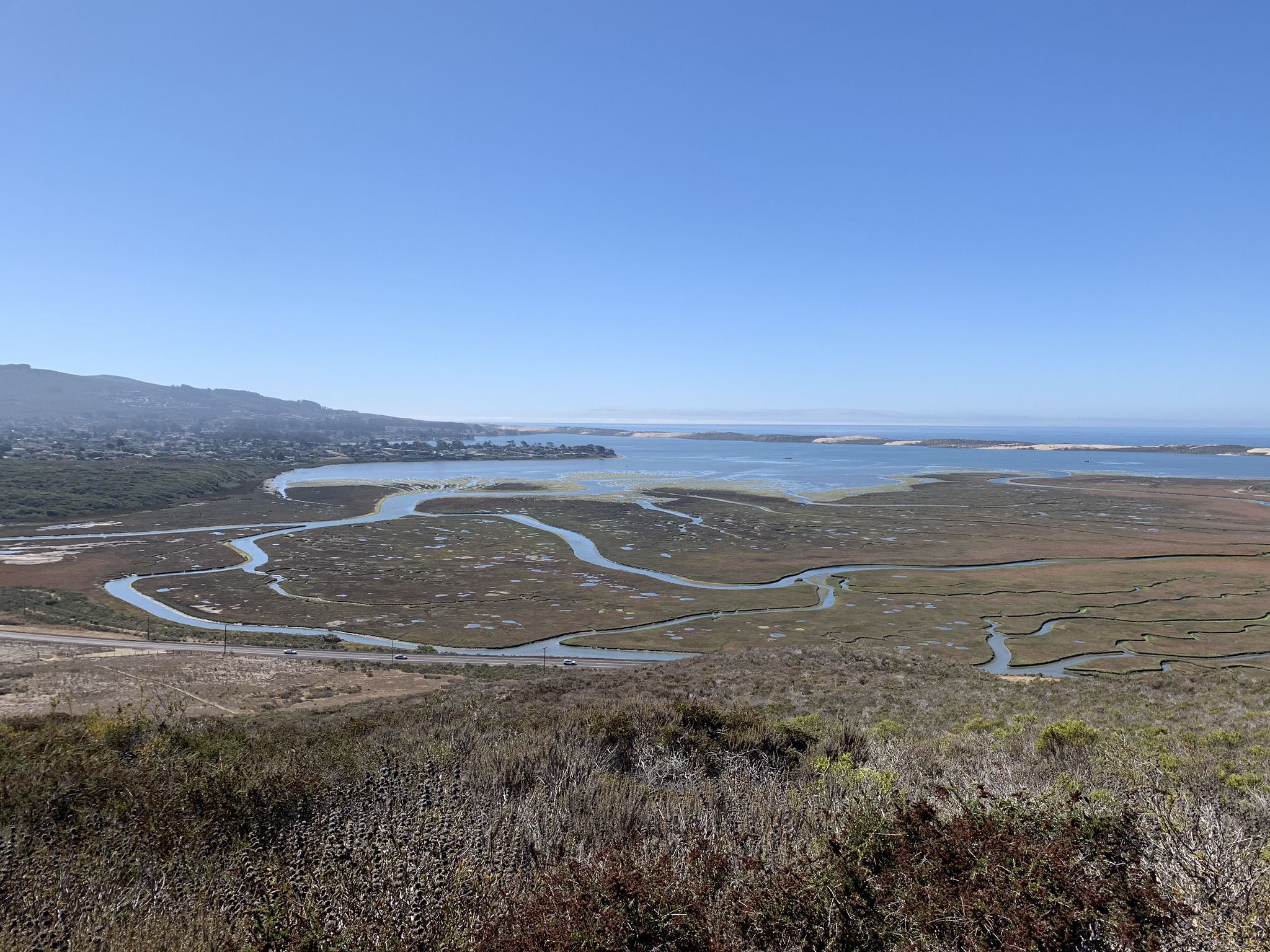An aerial view of a winding estuary and marshland under a clear blue sky. - Quarry and Park Ridge Loop Trail