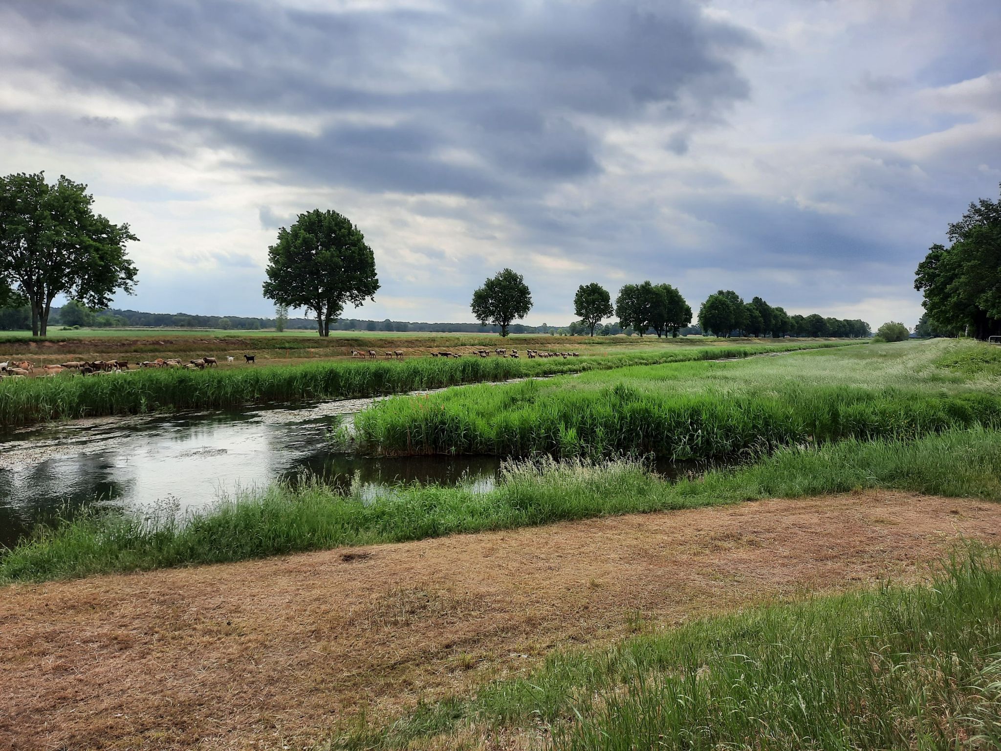 Zusammenfluss Schwarze Elster und Große Röder