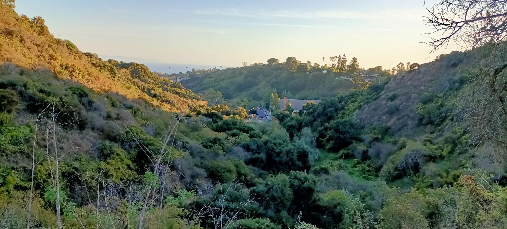 A lush, green valley with dense foliage, bathed in warm, golden light. - Los Leones Trail