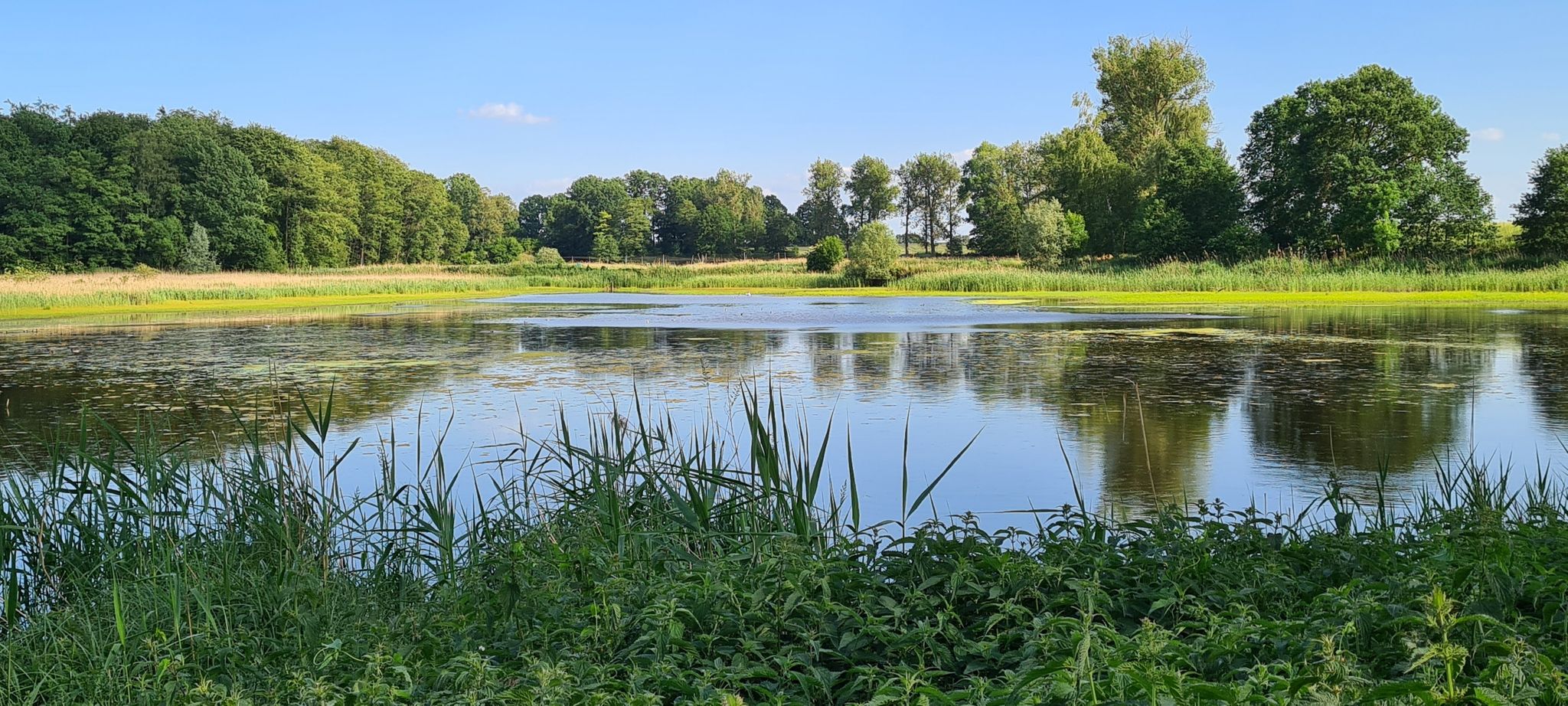 Großer Fischteich