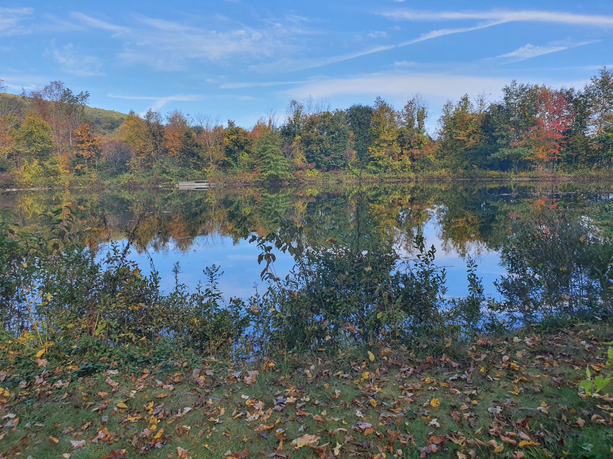 Calm lake reflecting colorful autumn trees under a bright blue sky. - Shaker Mountain Trail Loop
