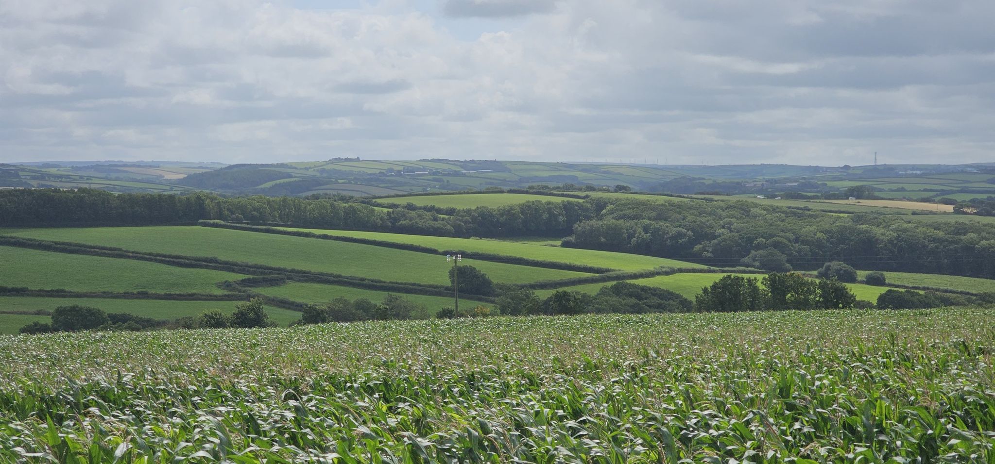 Blick in die Landschaft
