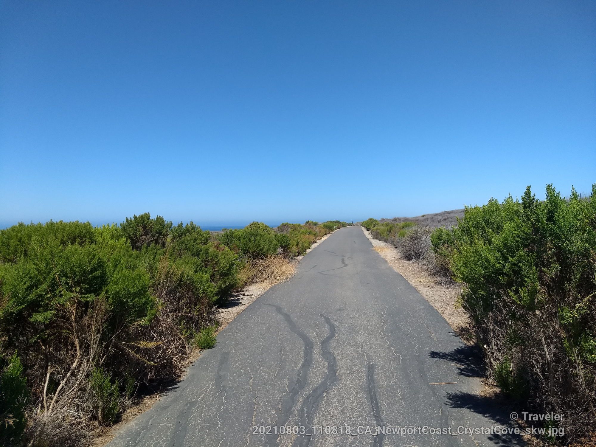 Paved road winding through green coastal bushes under a clear blue sky. - Reef Point and Crystal Cove Trail