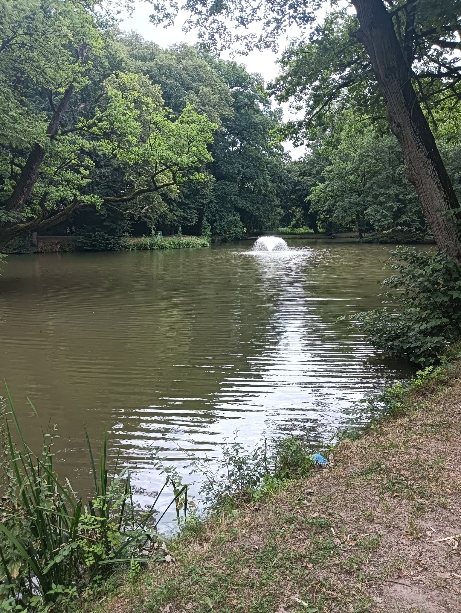 Staw zamkowy