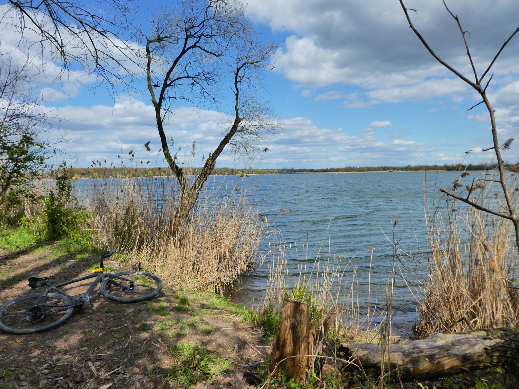 Am Barleber See
