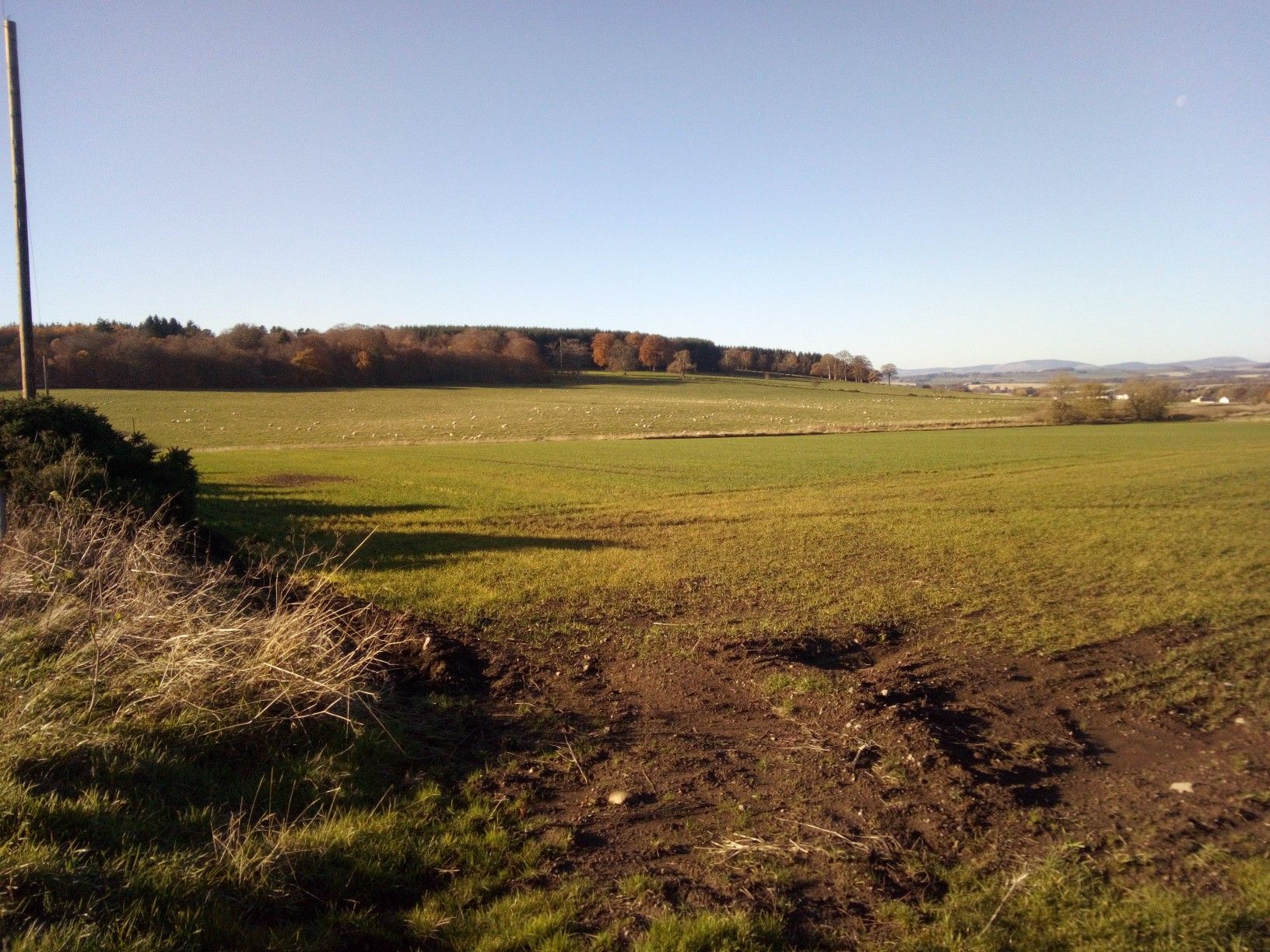 and a short walk from the front door, and you have this..  