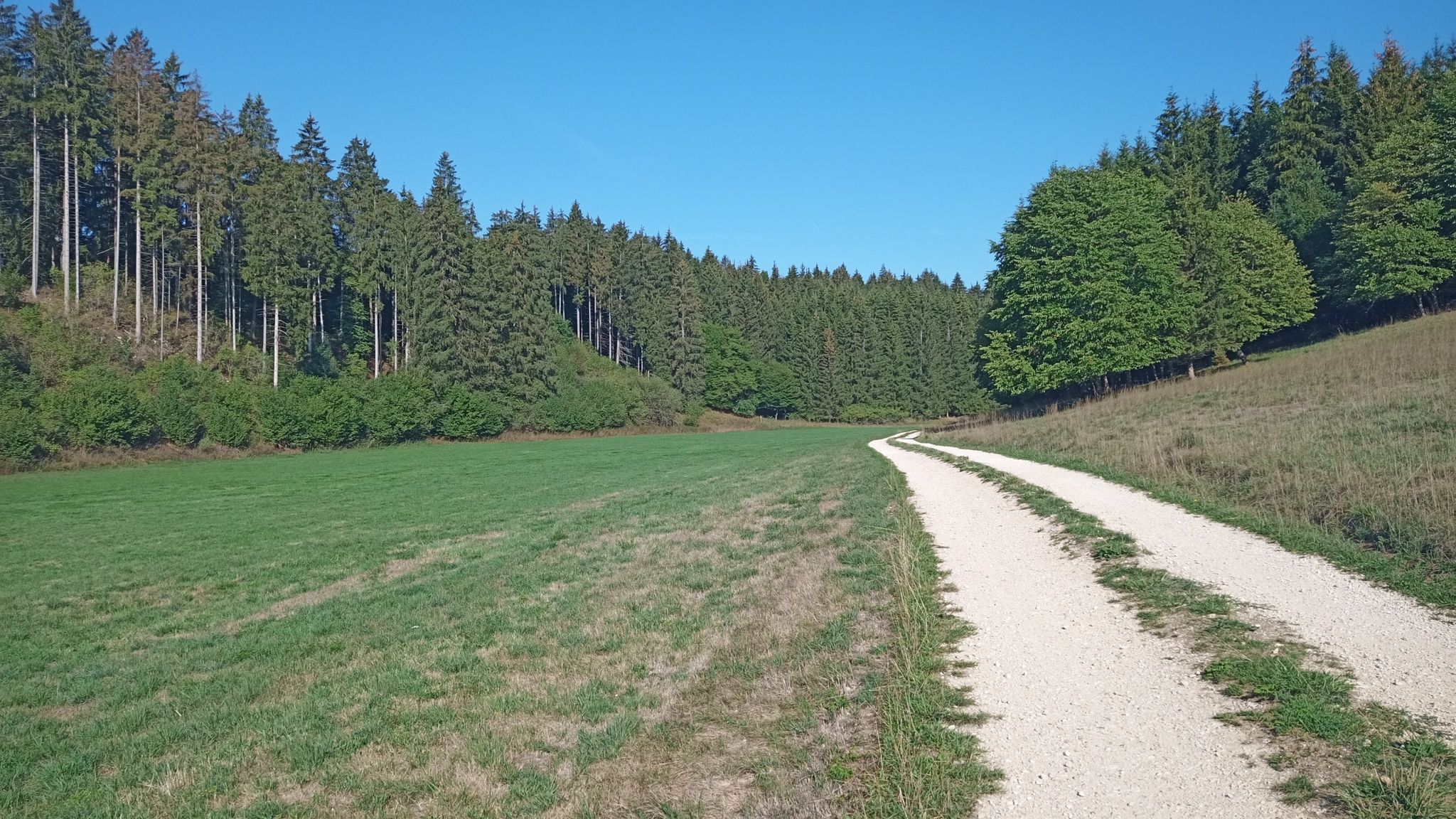 Magerrasen im Laubental