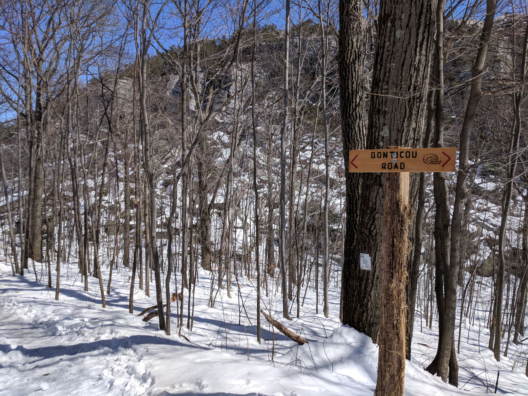 Wooden trail sign on a tree in a snowy forest with a rocky cliff. - Bonticou Road