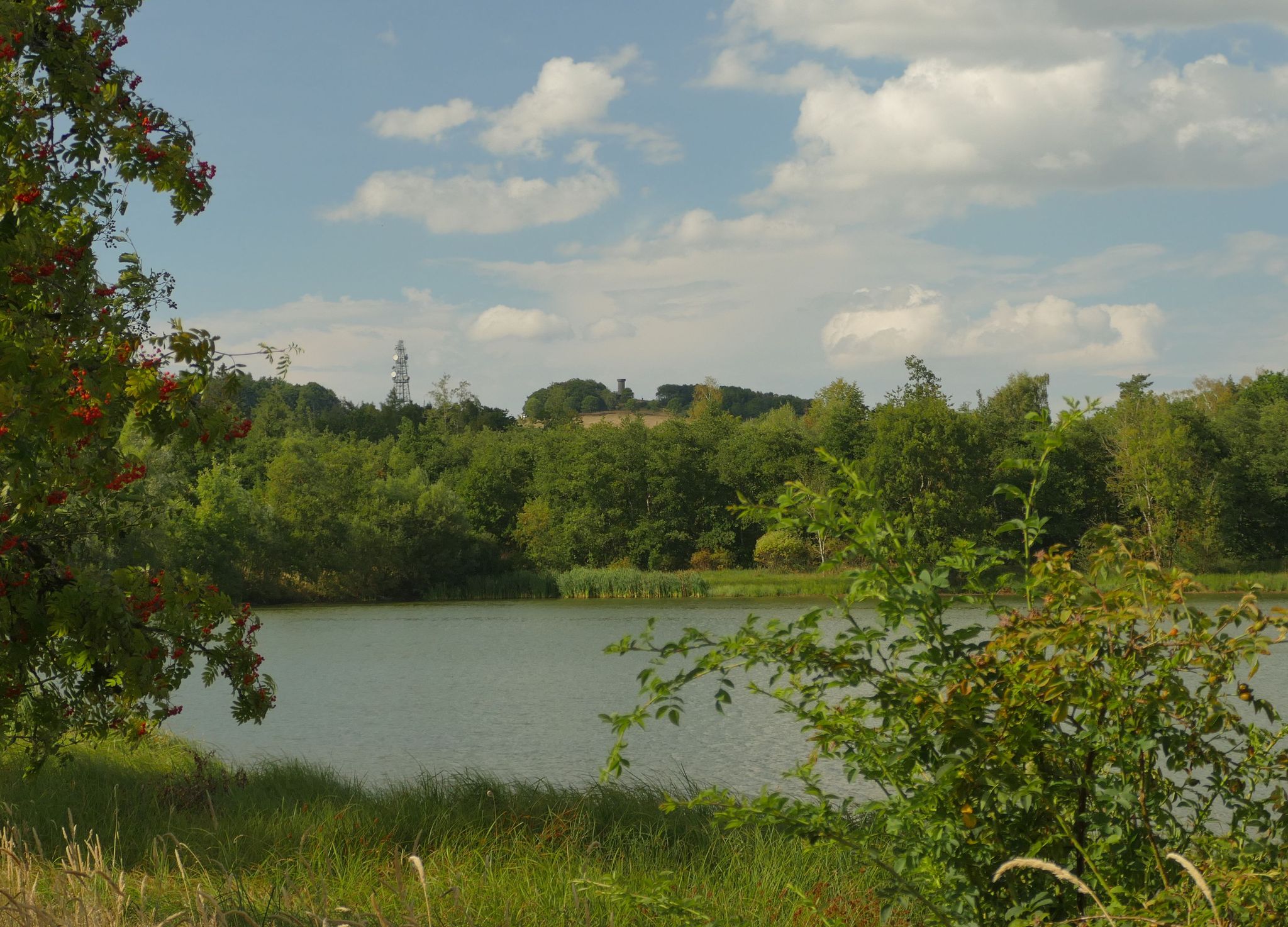 Der Knüllteich