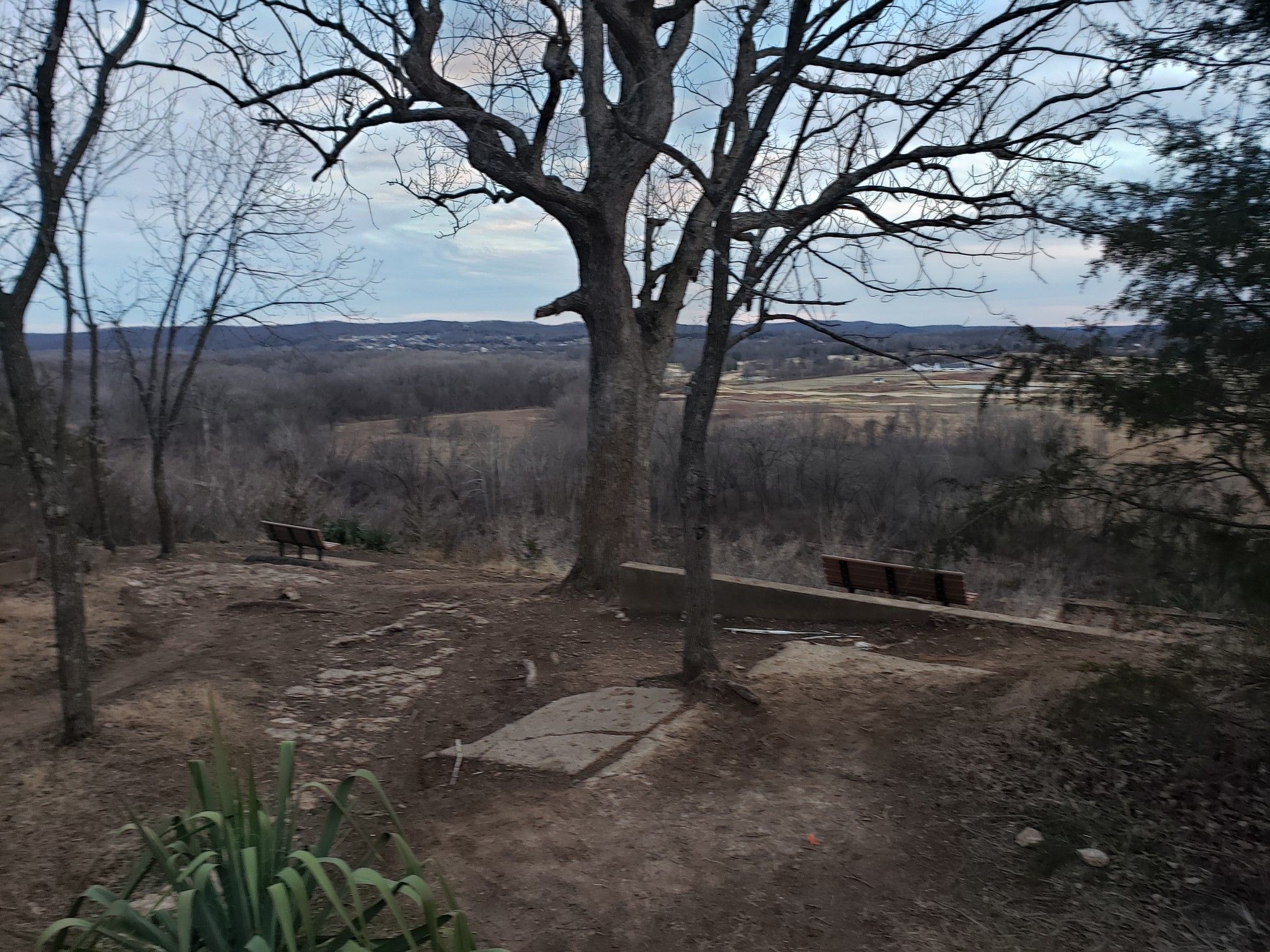 Overlook with bare trees and benches, viewing a valley under cloudy skies. - Bluff View Trail