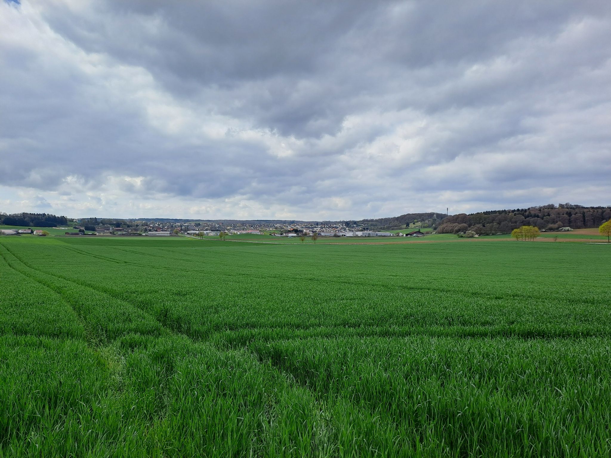 Nattheim