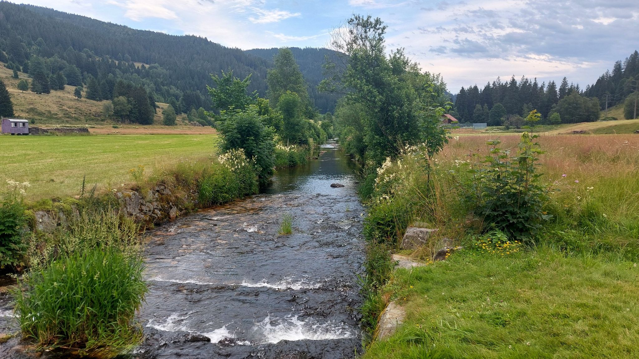 Der Rehbach