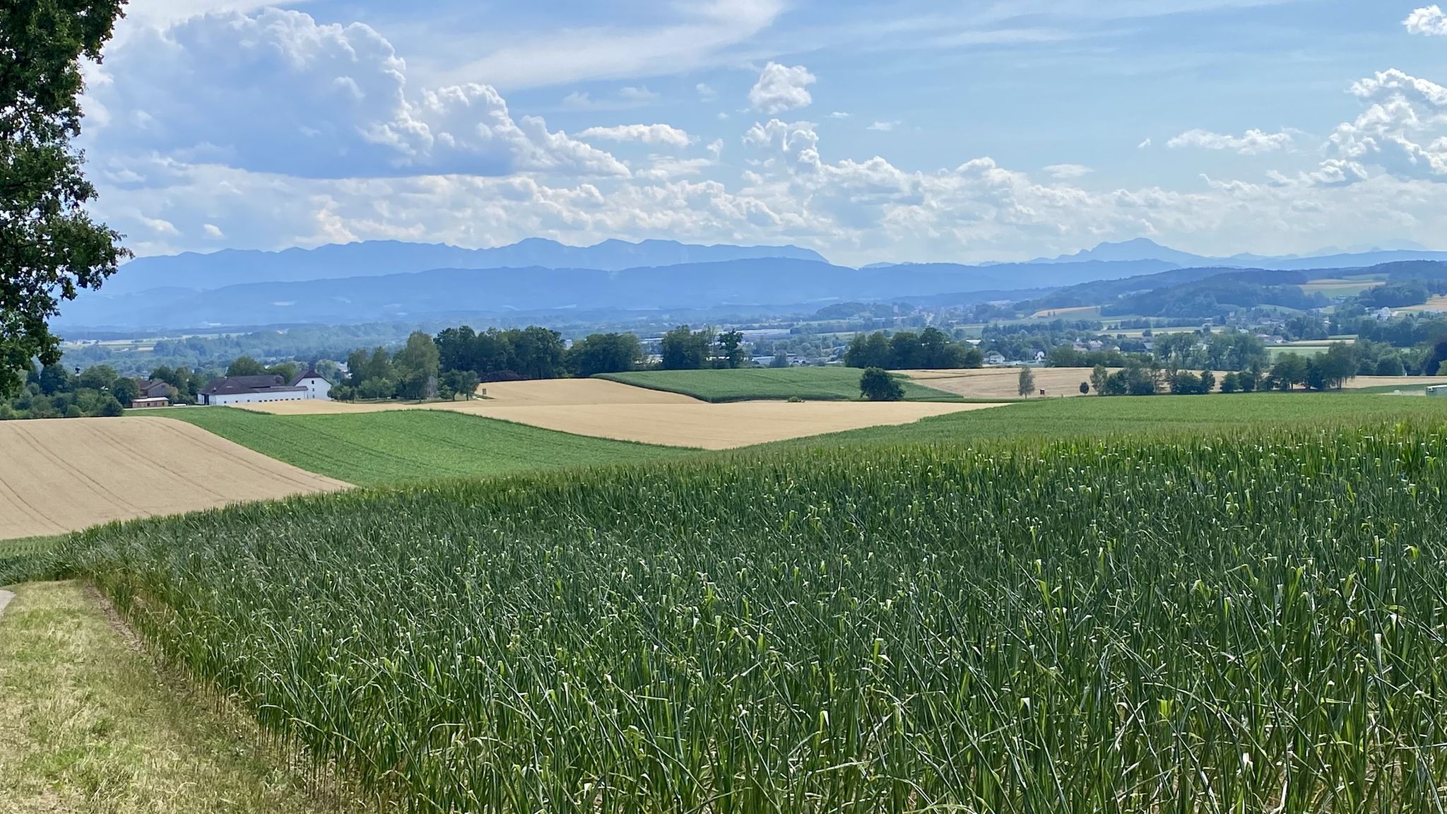 Philippsberg / Schwauna -> Hongar - Höllengebirge/Schafberg