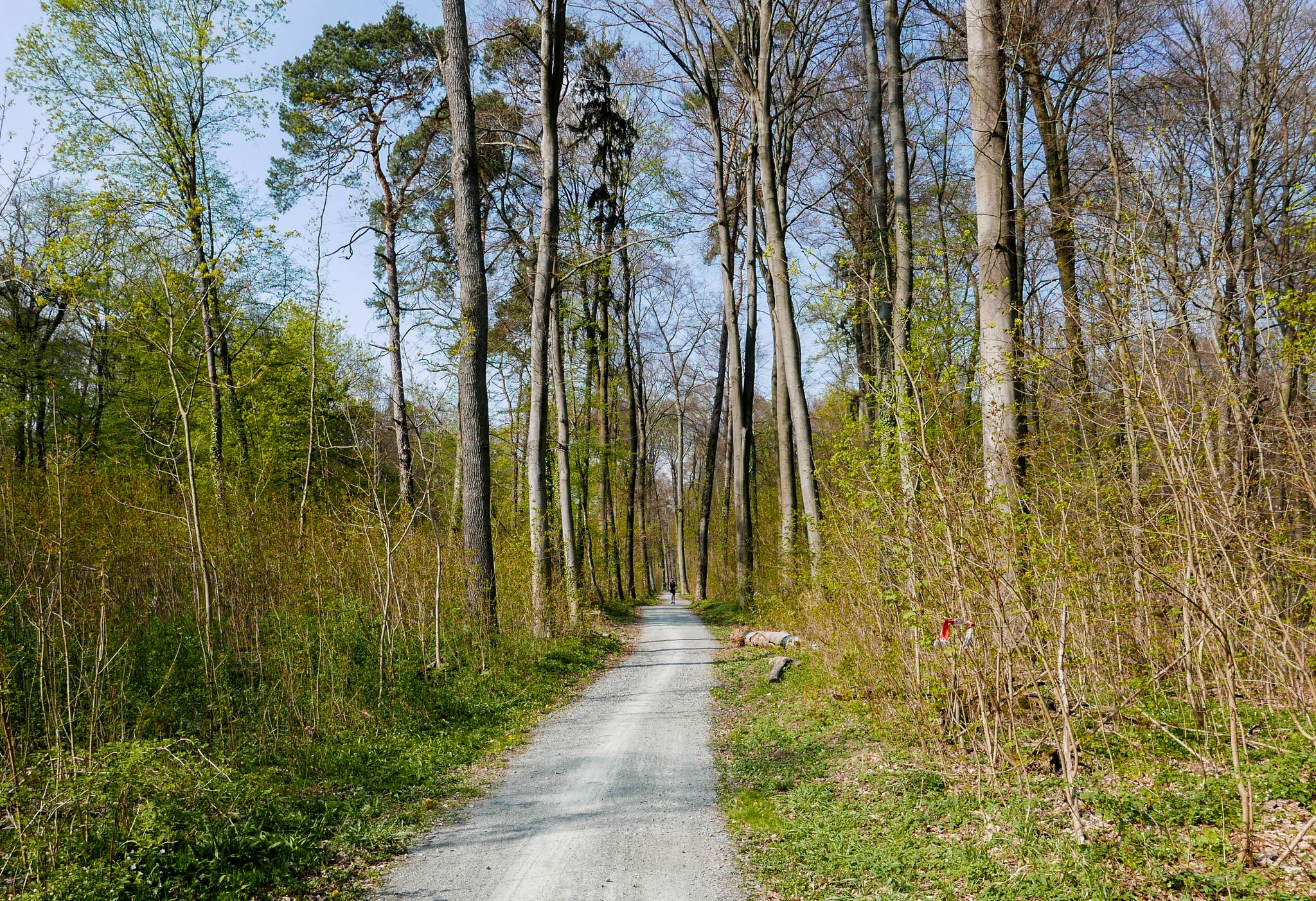 Waldstrecke an der B3 NI--> FFM